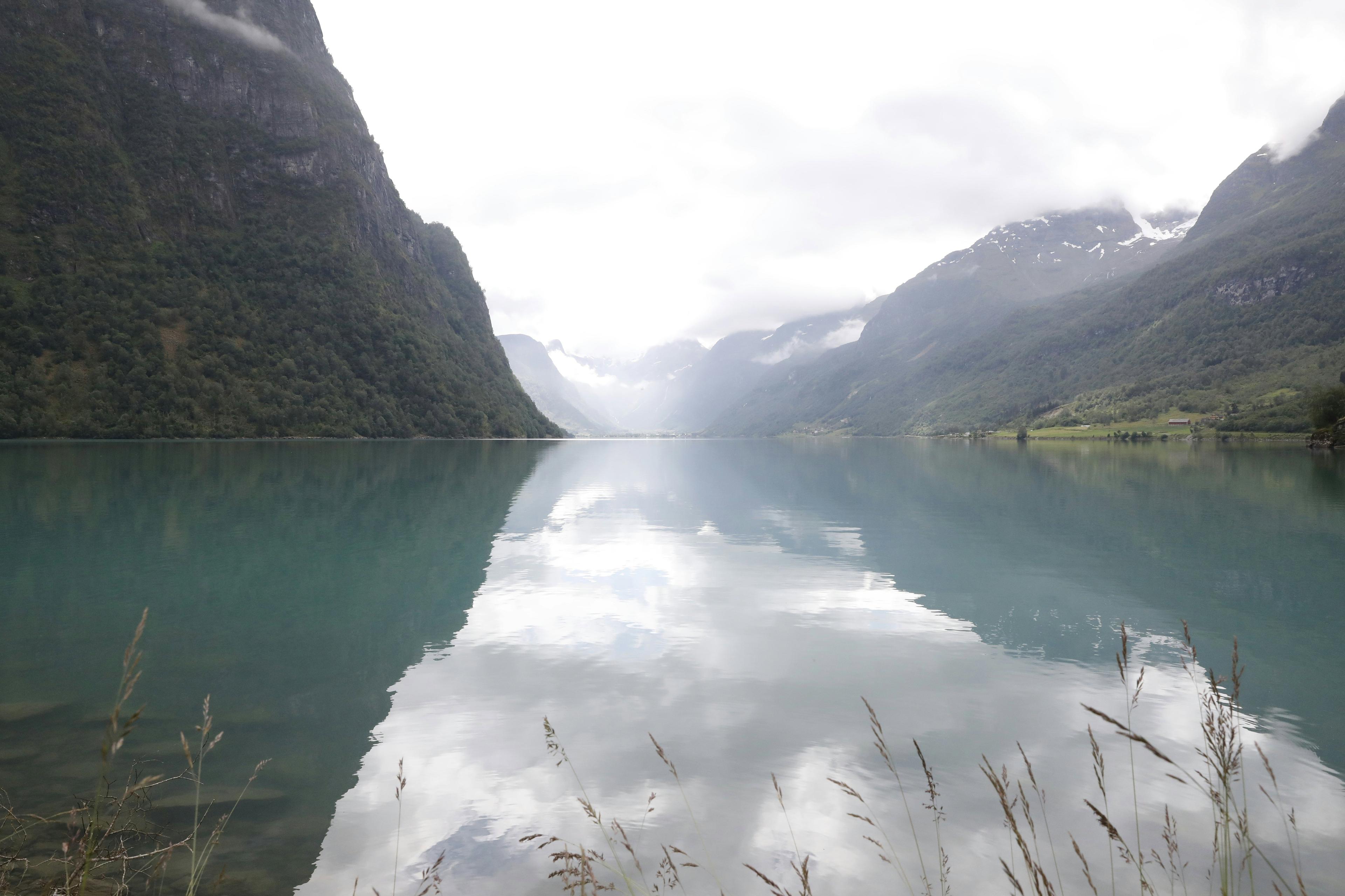 Innlandet Moose Hunting in Norway: A Premier Destination for Hunters.