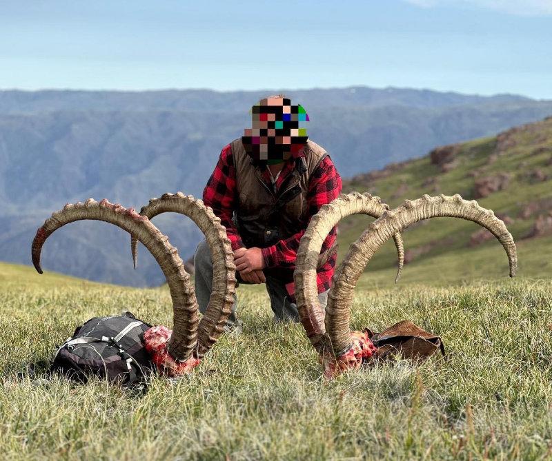 🇺🇸 As the season continues, Kazakhstan proves to be -once again- the world’s best destination for Mid-Asian Ibex.