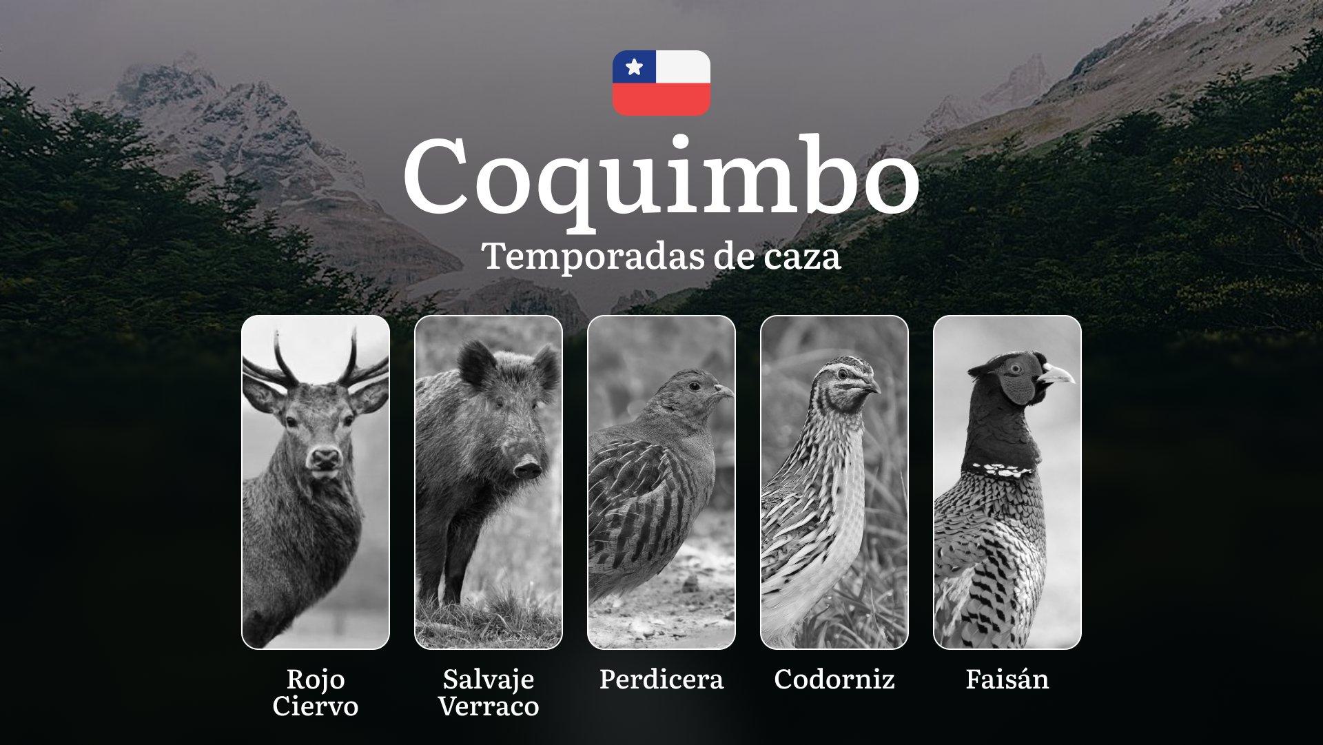 Chile, región de Coquimbo: Temporadas de caza, licencias y normas, tipos de presa y épocas óptimas para la caza, multas y responsabilidades legales