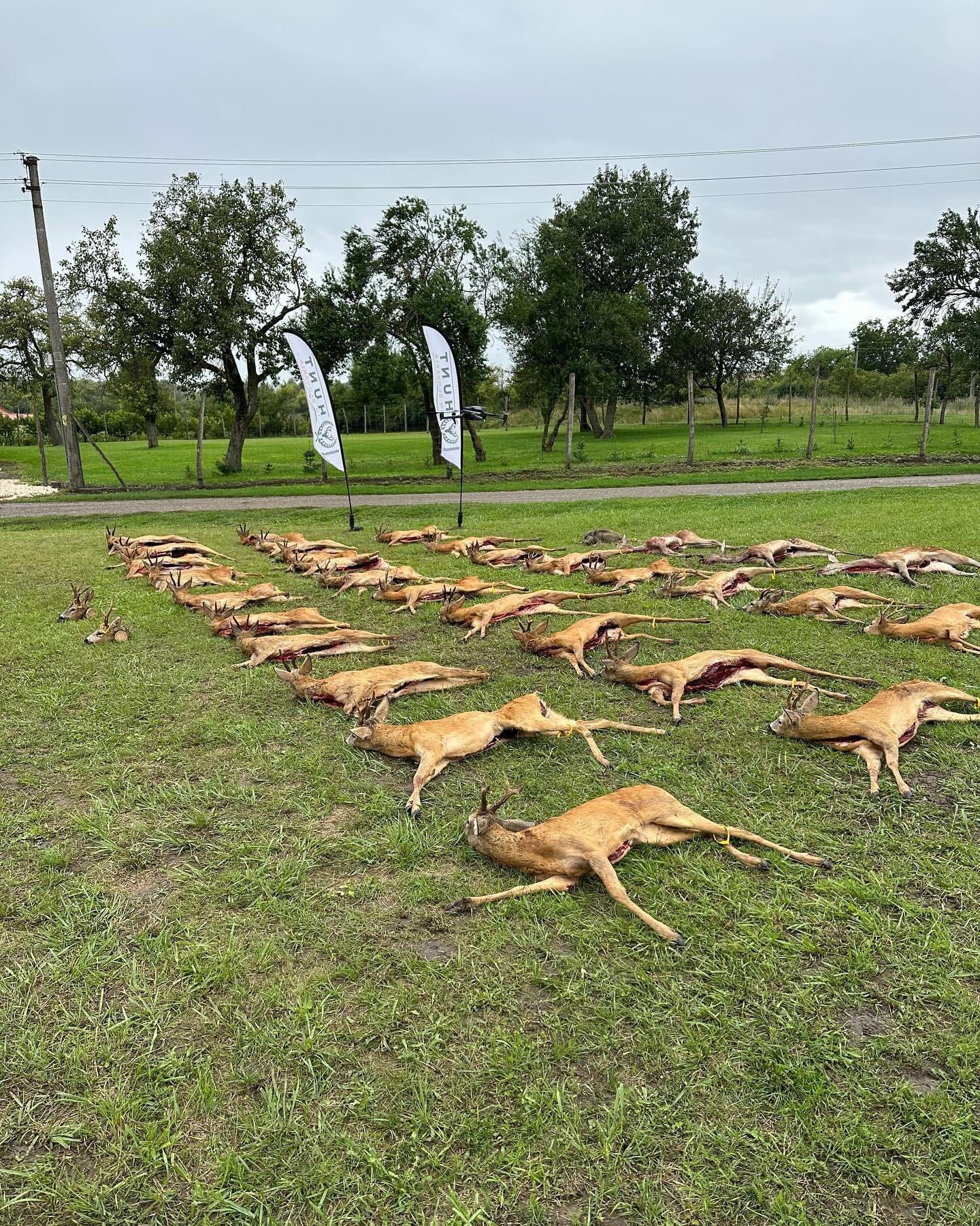 ROE BUCK hunting 📯📯 | 🍃🌿 Slovakia 🇸🇰