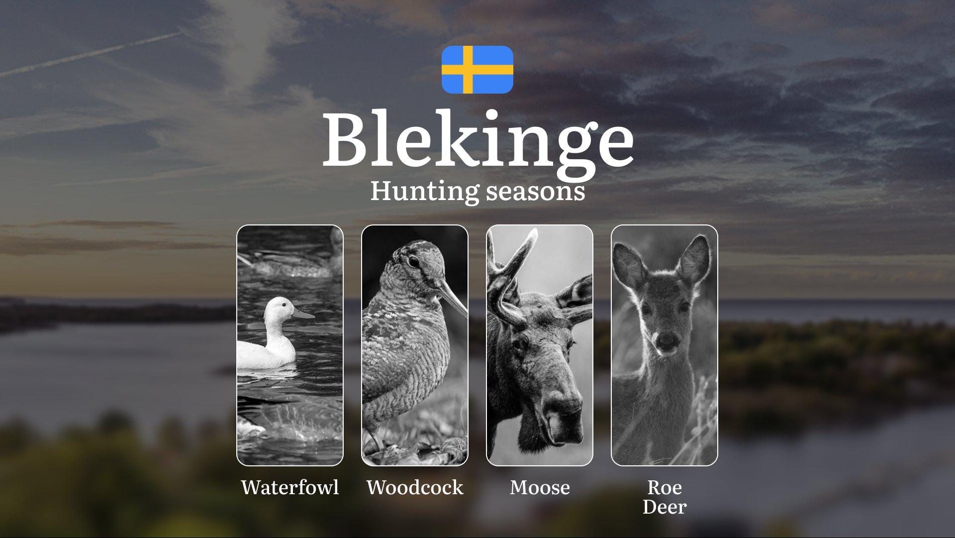 Hunting Periods in BLEKINGE: When and What You Can Hunt, Seasonal Game Patterns, and Everything You Need to Know to Obtain a Valid Hunting License in the Region