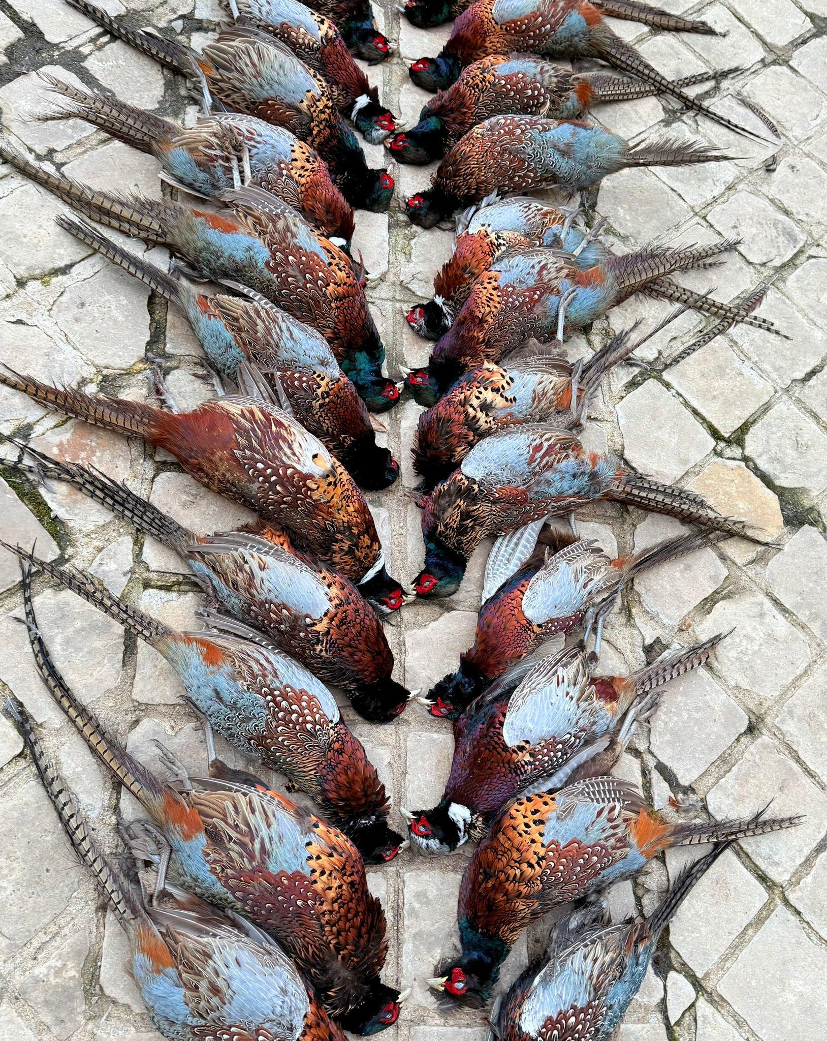 L'ART DES TABLEAUX DE CHASSE ET ANNECDOTES DES GRAND DE CE MONDE ; 