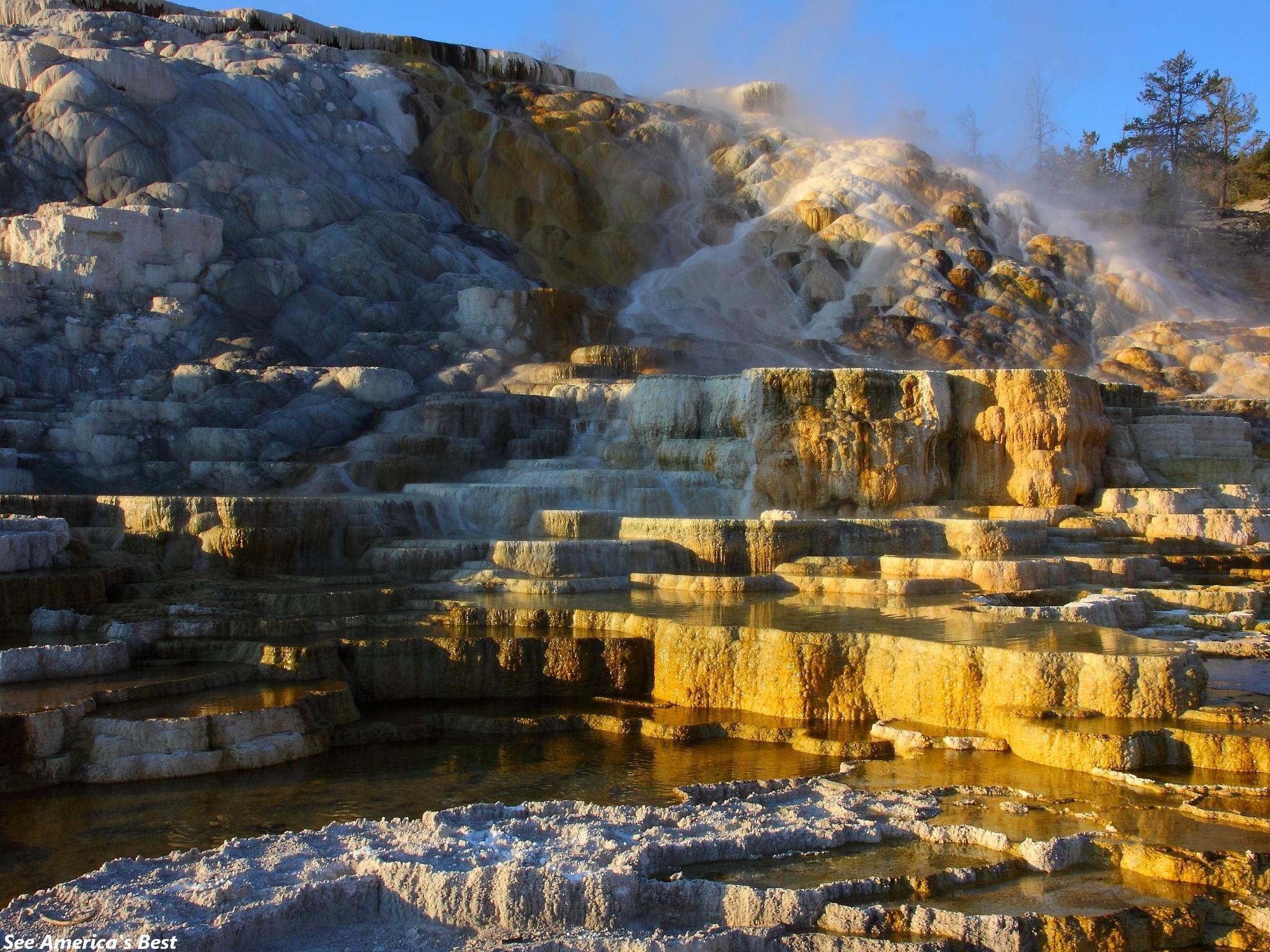 There are so many to see in Yellowstone National Park!