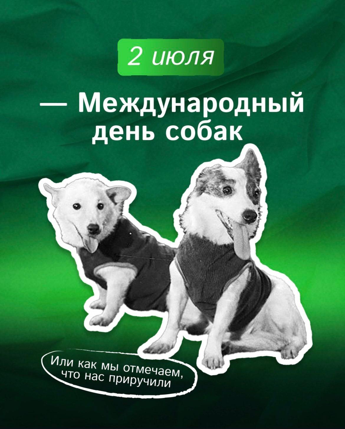 2 июля международный день собак 