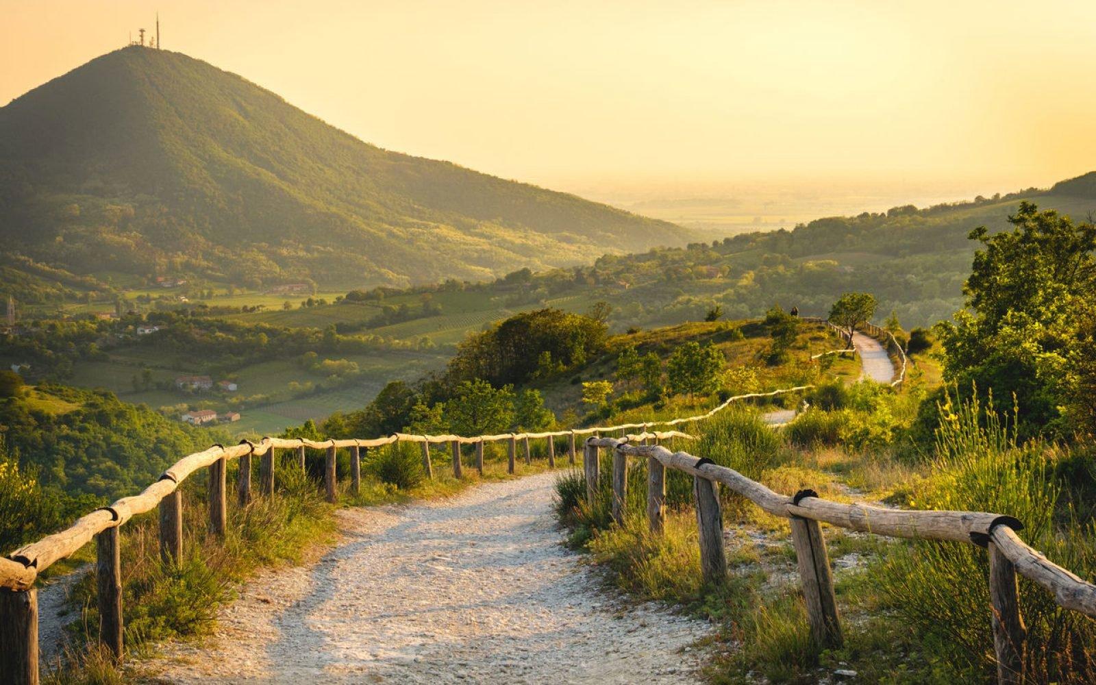 Guida per la caccia nel VENETO: tradizioni regionali, associazioni e specie.