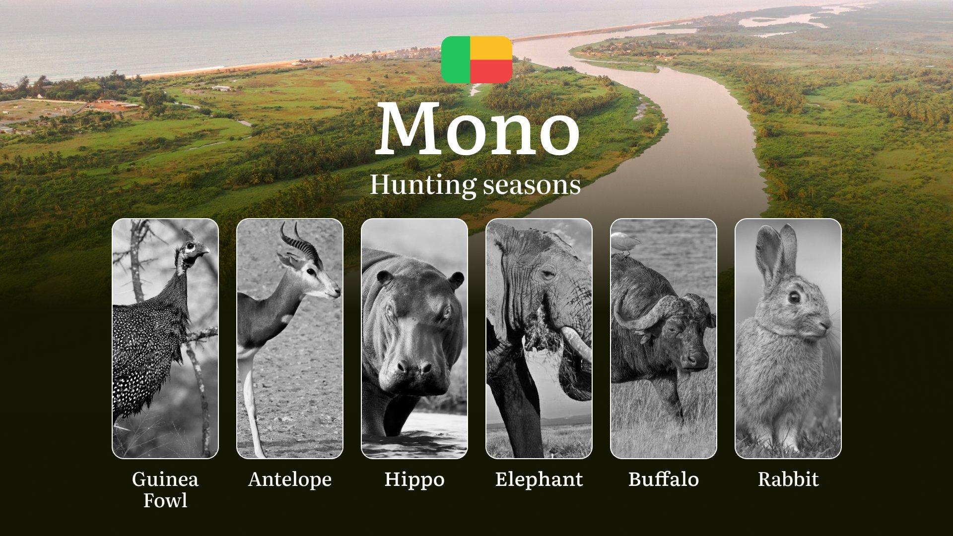 Hunting Seasons in Benin,  MONO Region: Timing and Dates, Restrictions, Bans, and Protected Species, Tactics Based on Seasons