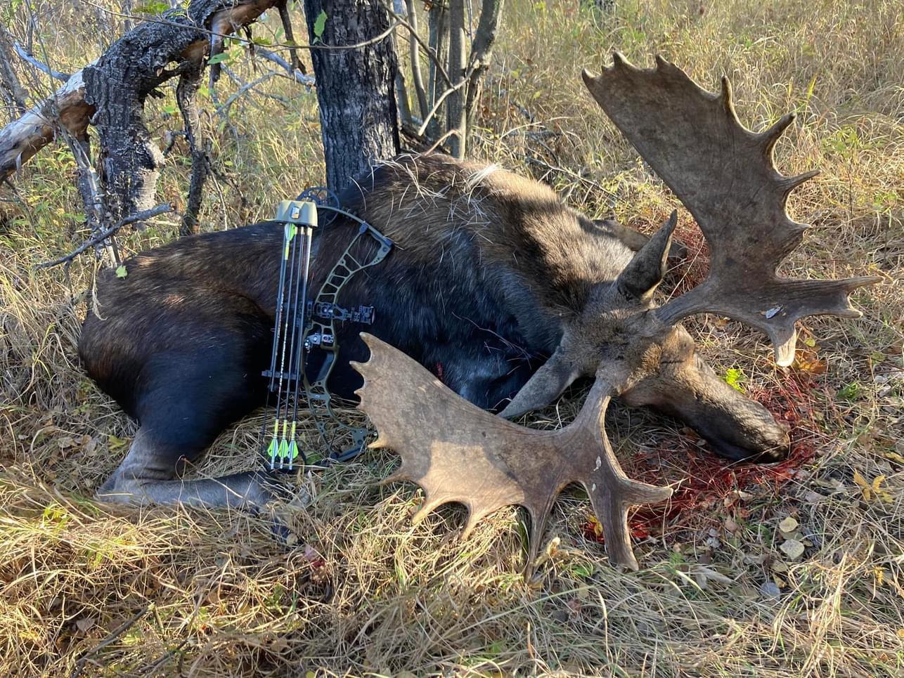 Now Booking 2025 Rut Dates!!