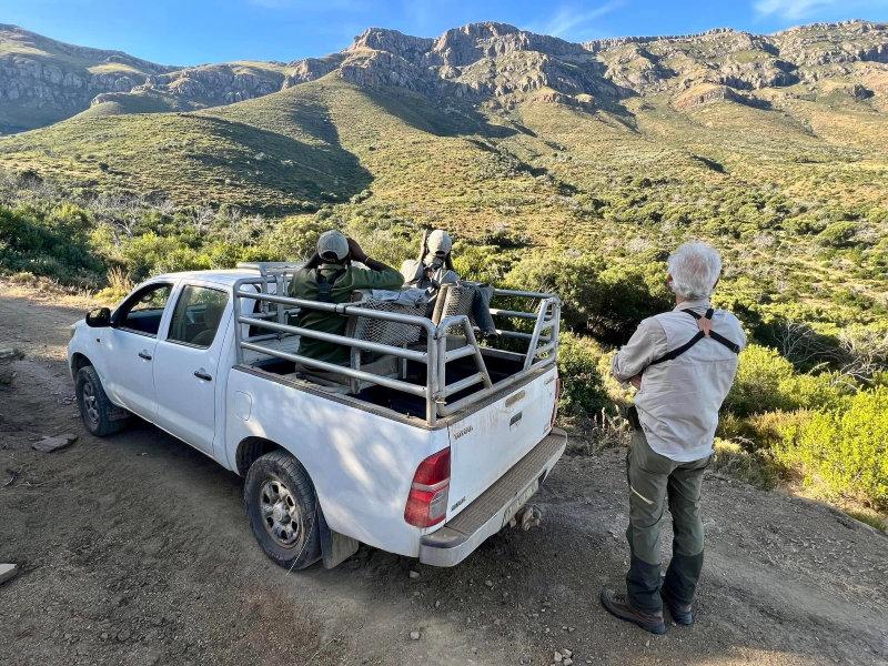 Redgie’s 4th hunt with us and still loves an eland hunt as much as the first one.