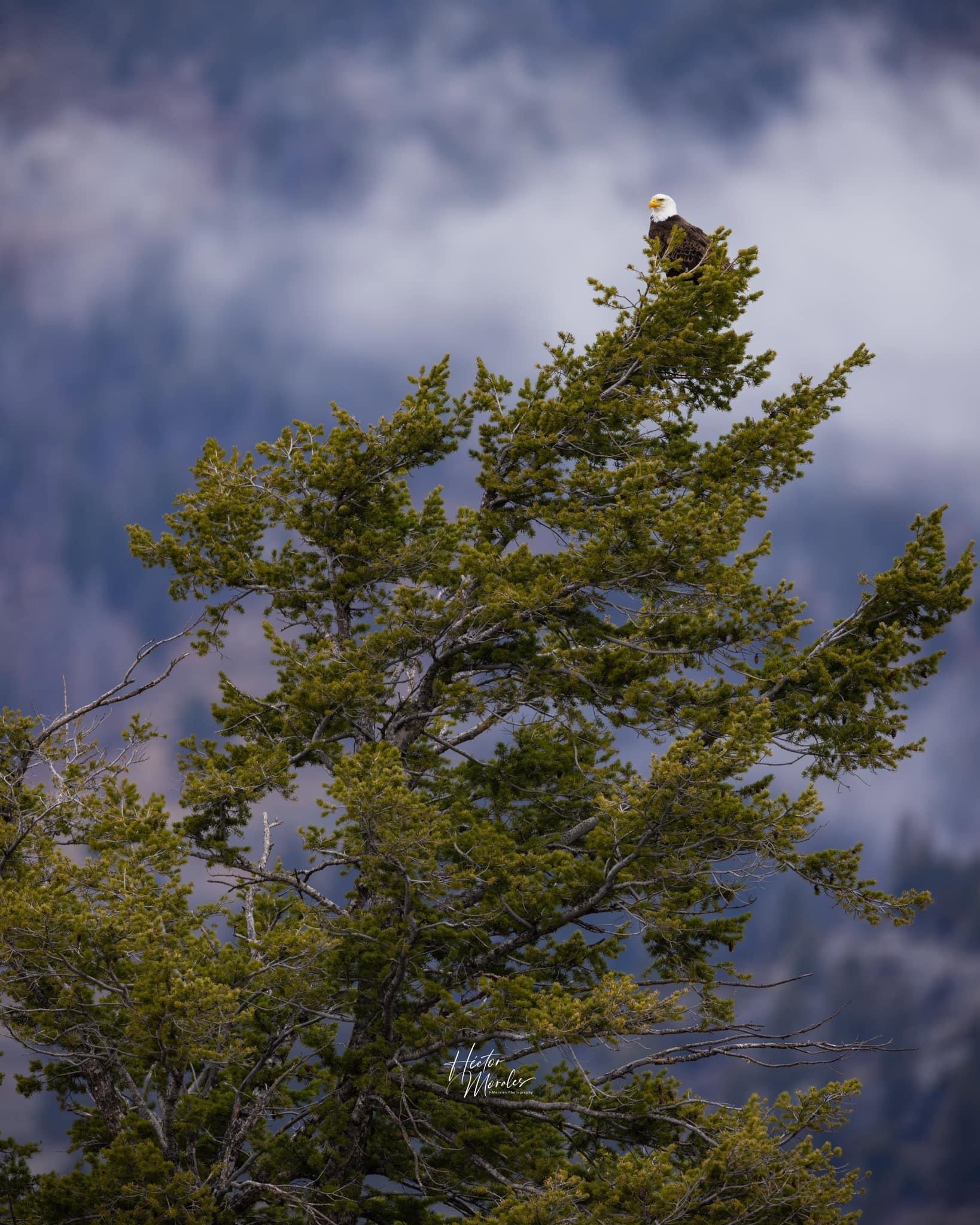 Some of my photos from this past weekend (April 2024).