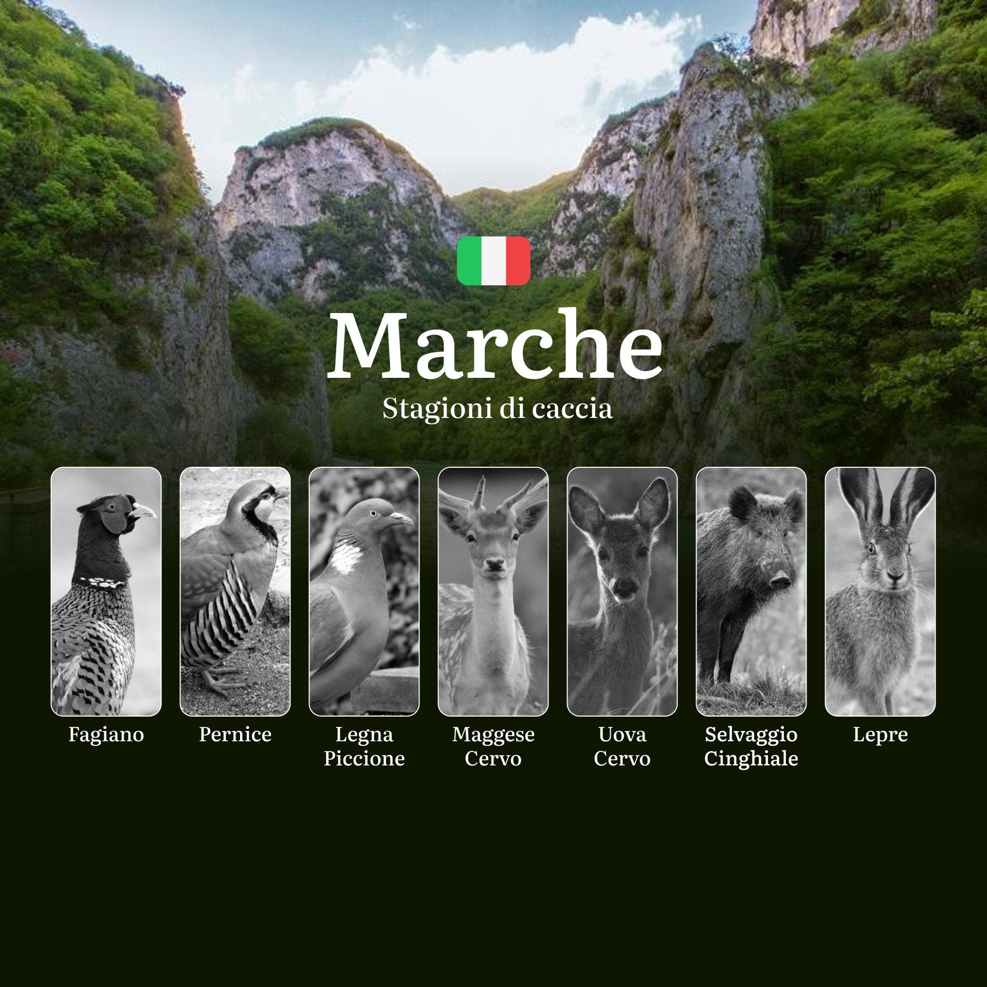 Caccia nelle Marche: Il Calendario Definitivo tra Colline, Laghi e Aree Protette - Dove e Quando Cacciare