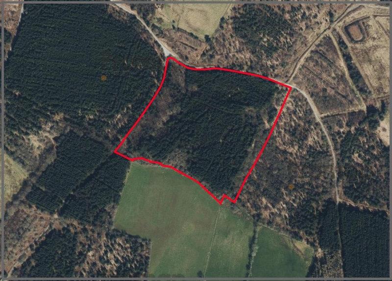 ❗️❗️ WOODLAND FOR SALE ❗️❗️