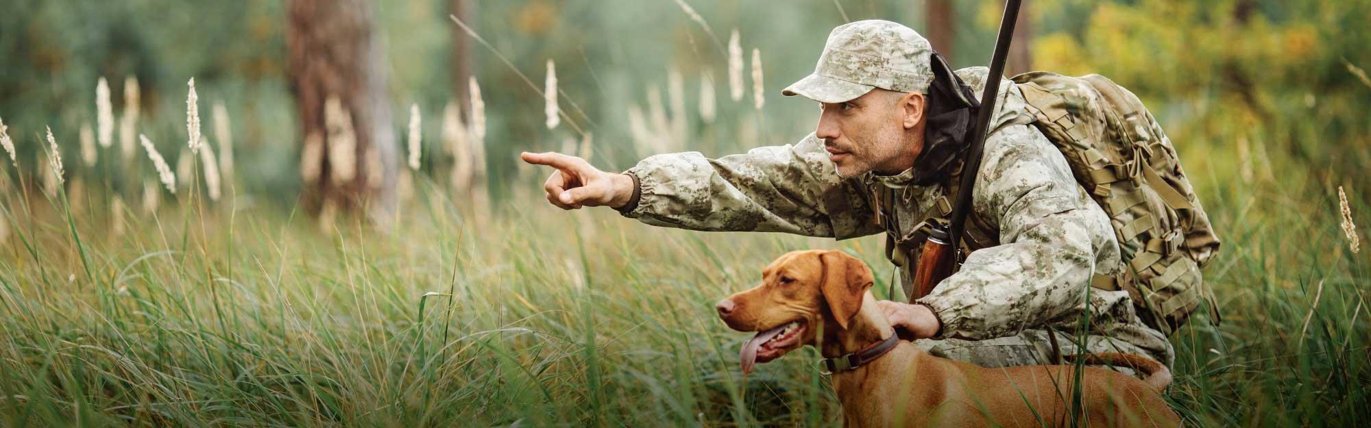 Attention Ruffed Grouse Hunters: We need your help!