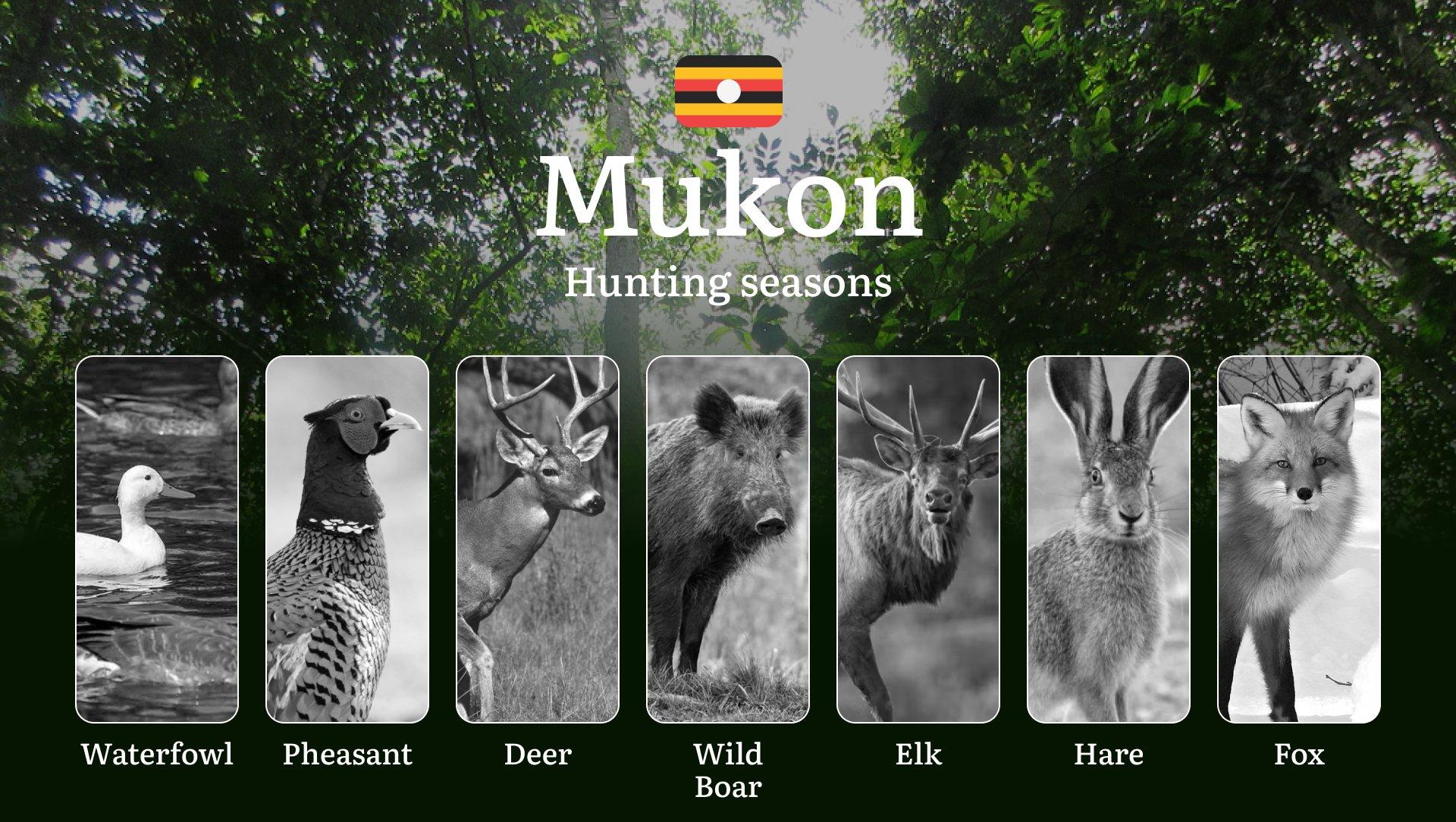 Hunting Access Dates in Mukon: Key Hunting Periods for All Species, Restricted Areas, Rules and Exceptions, Getting Your License, Gear, Locations, and Optimal Timing 