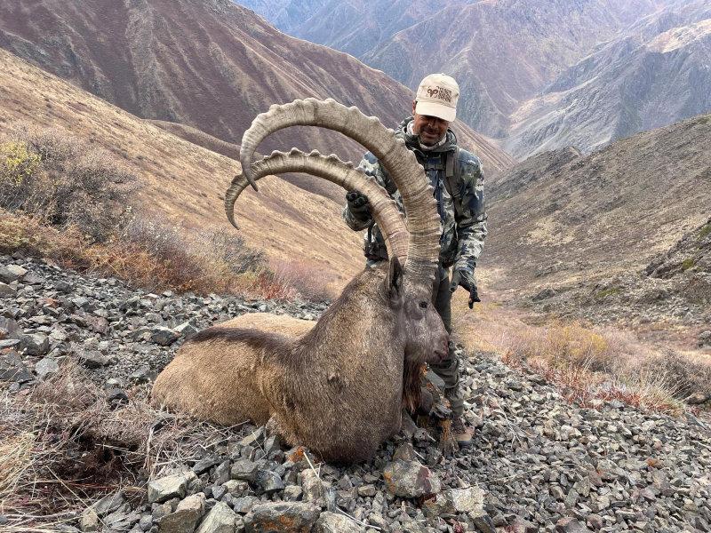 Siberian Ibex hunt 3-12 October 2023 Kazakhstan 🇰🇿.