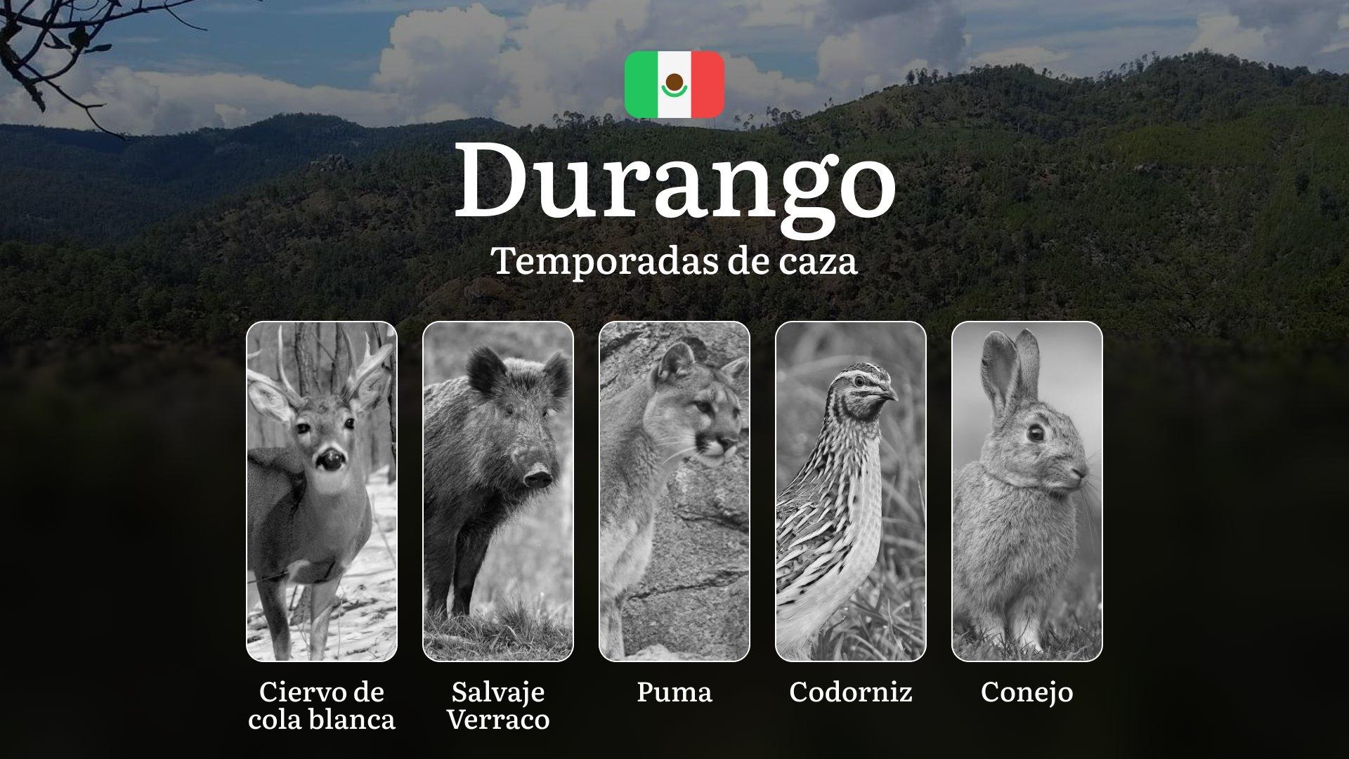Temporadas y períodos de caza en Durango: Calendario, Especies y Normativas para una Caza Responsable