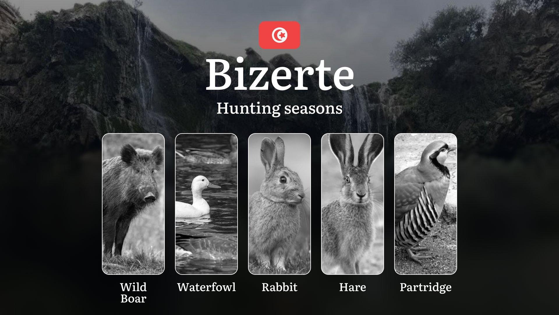 Hunting Seasons in BIZERTE: Official Opening/Closing Dates, General Rules, Key Periods, Required Permits, Practical Tips, Festivals and Events