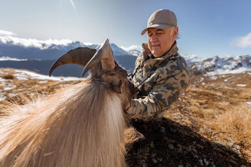 🇺🇸 I can’t get enough of this beautiful animal and the breathtaking mountains where they live!