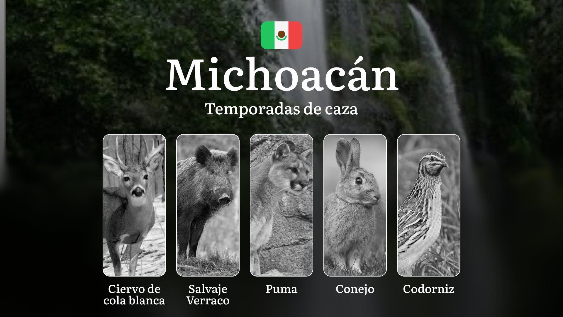 Temporadas y períodos de Caza en Michoacán: Fechas, Especies y Regulaciones para el Cazador Experto