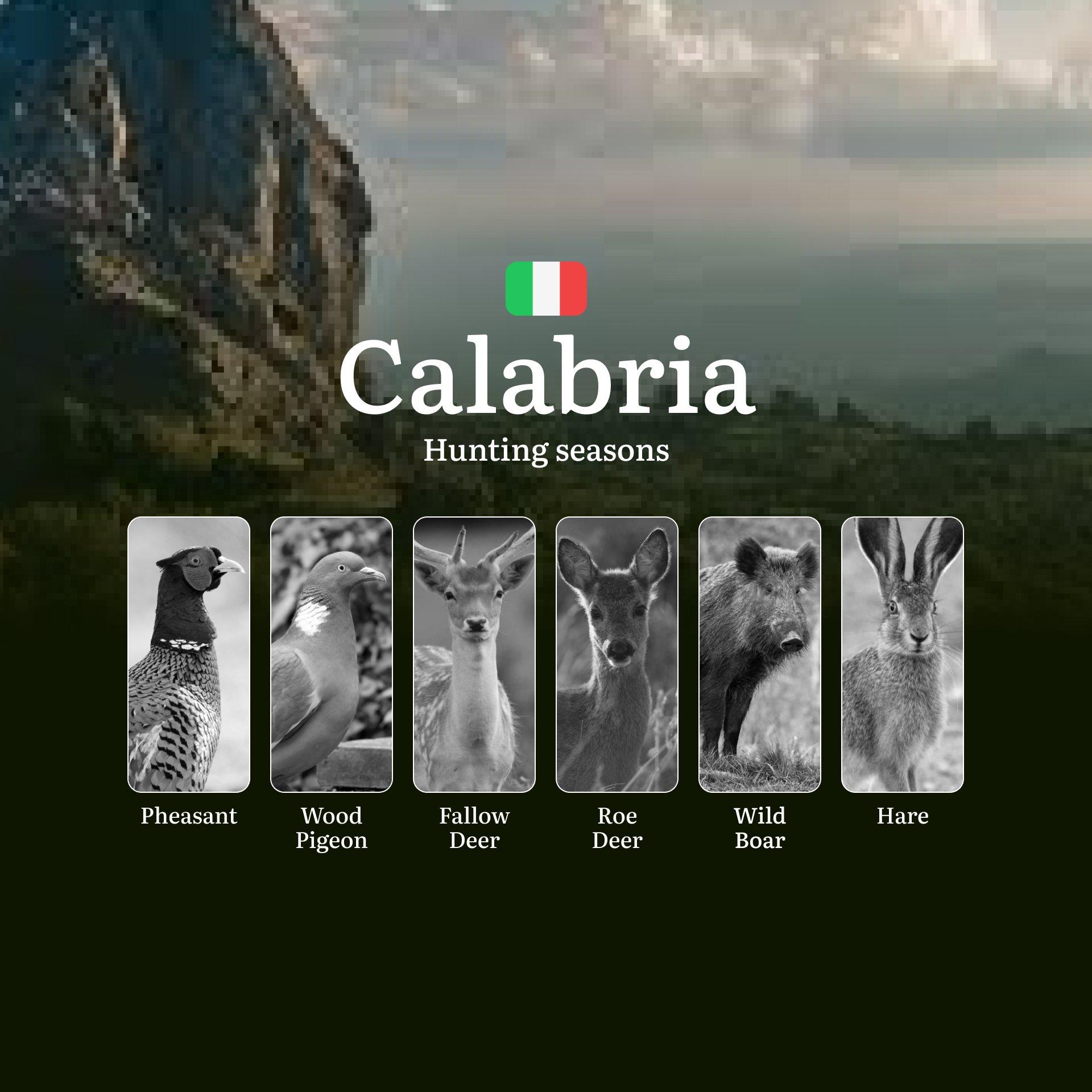 Calabria Hunting Seasons: Rare Winter Permits in the Sila and Aspromonte National Parks, Tips and Secrets