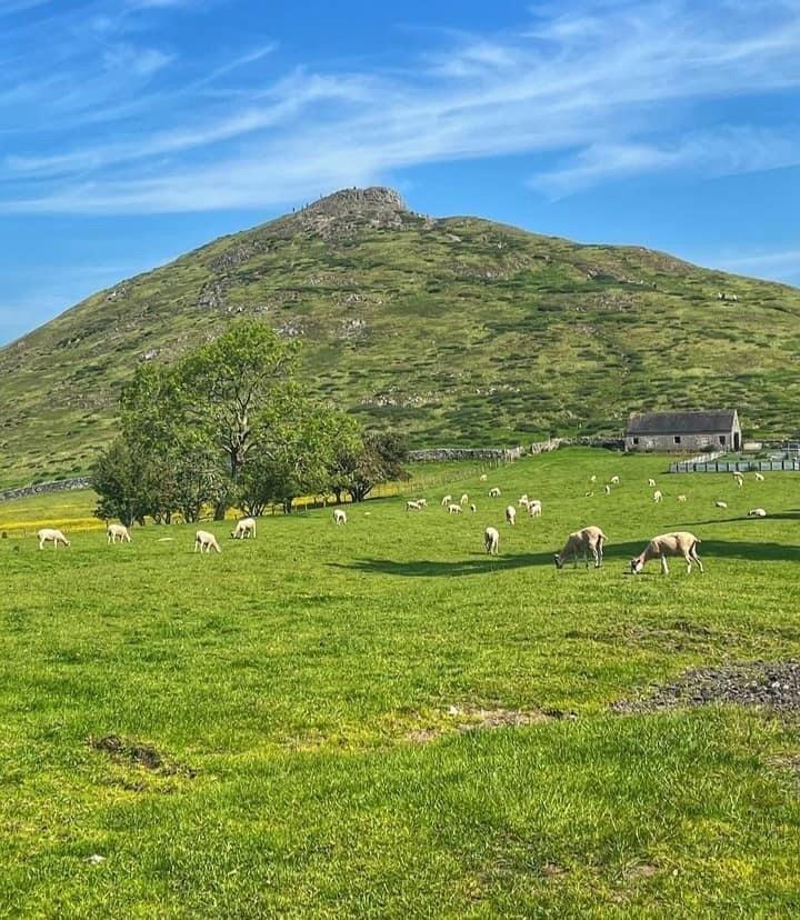 Dovedale is a valley in the Peak District of England ✨🌿