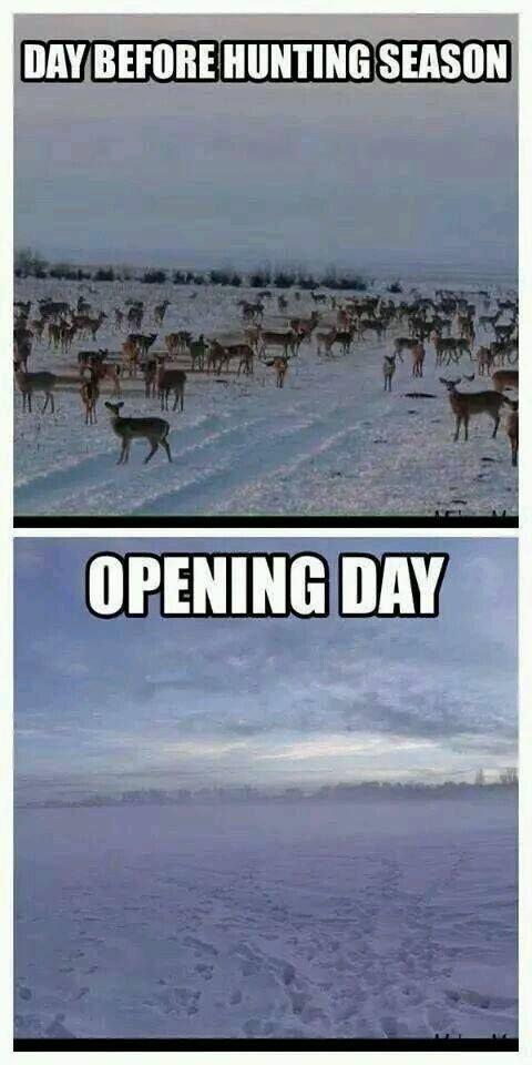 Meme time!
