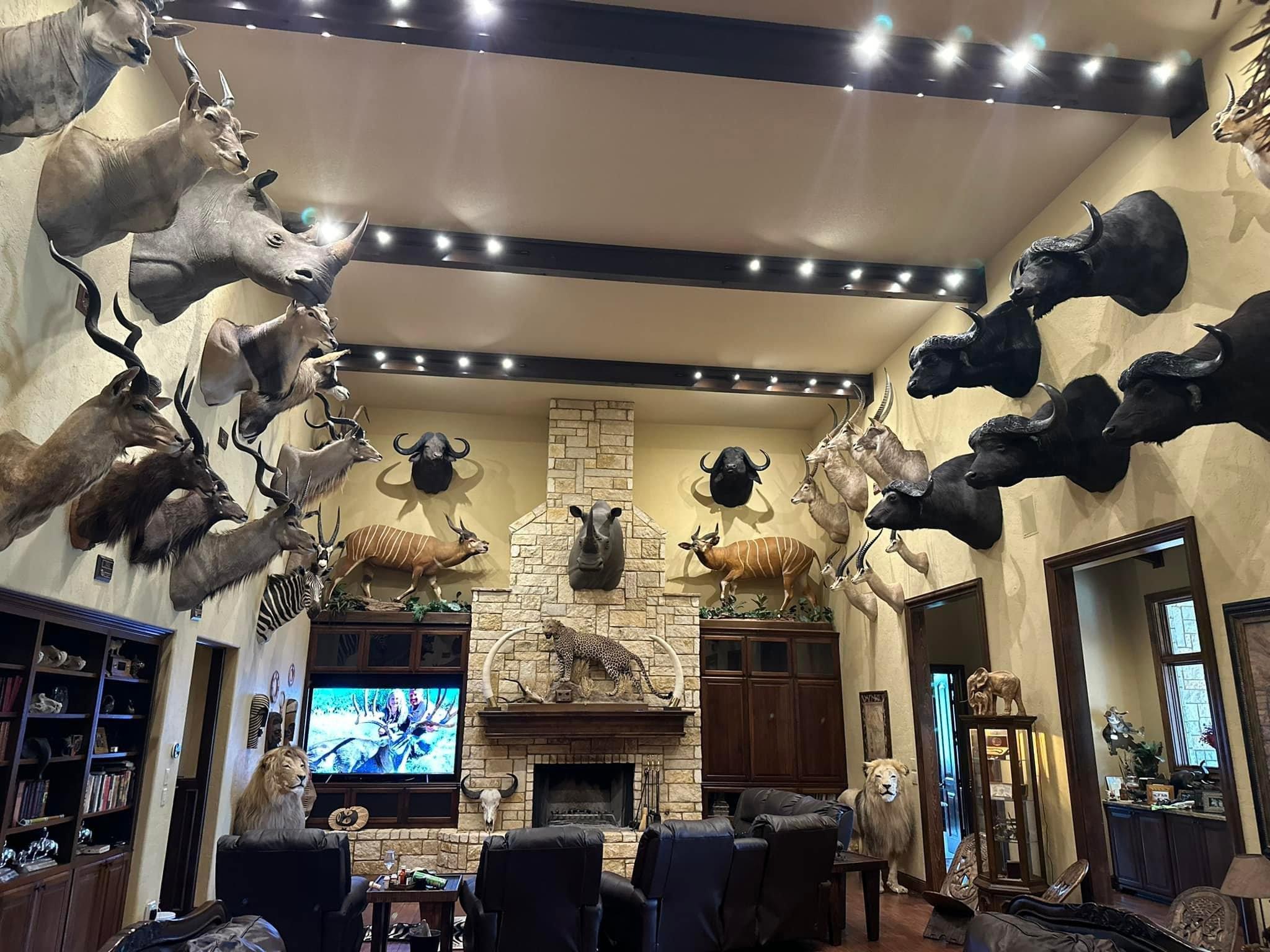 New trophy room additions!!