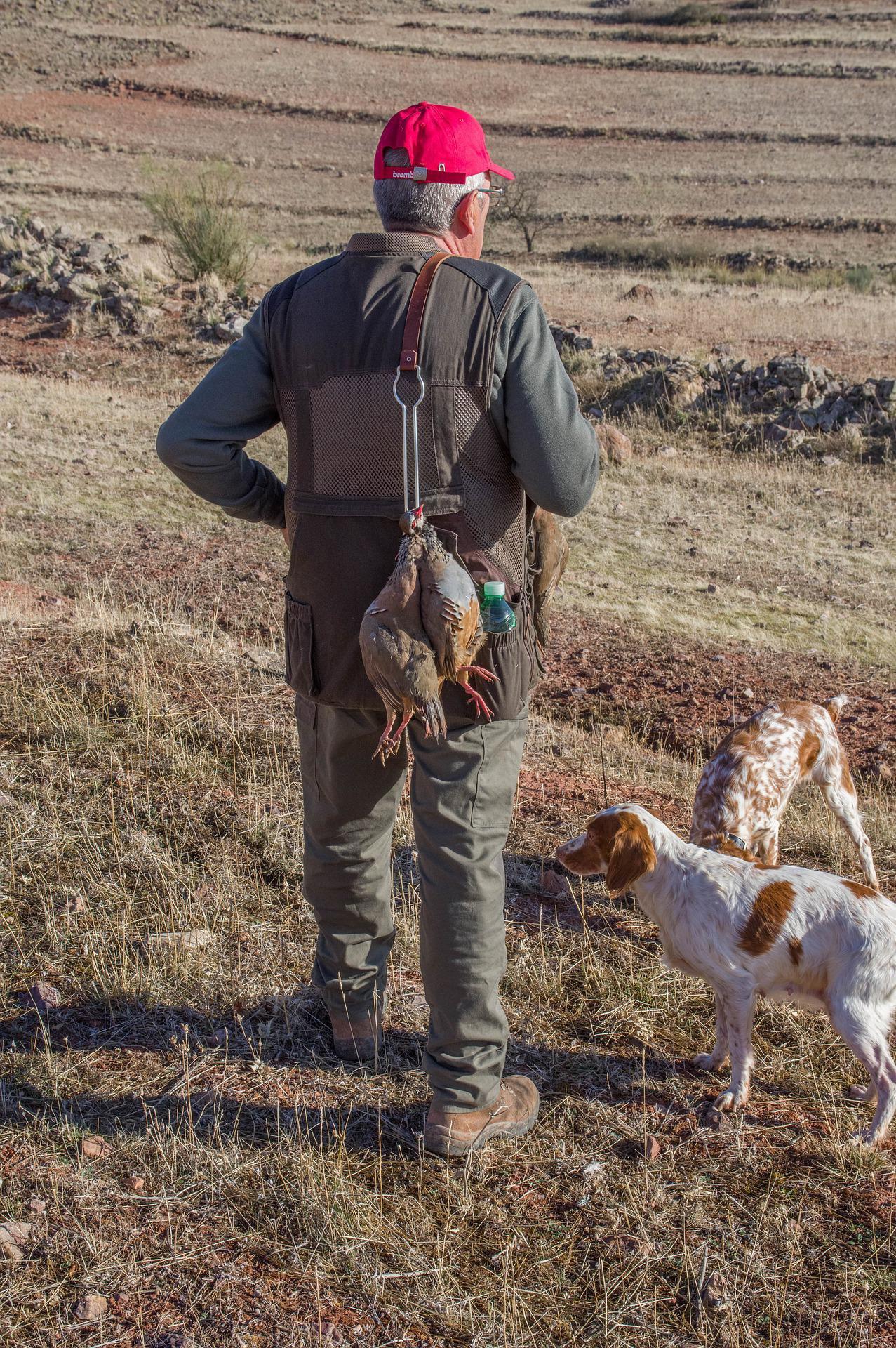 Grouse hunting in the Middle Atlas: a unique experience in the heart of Morocco.