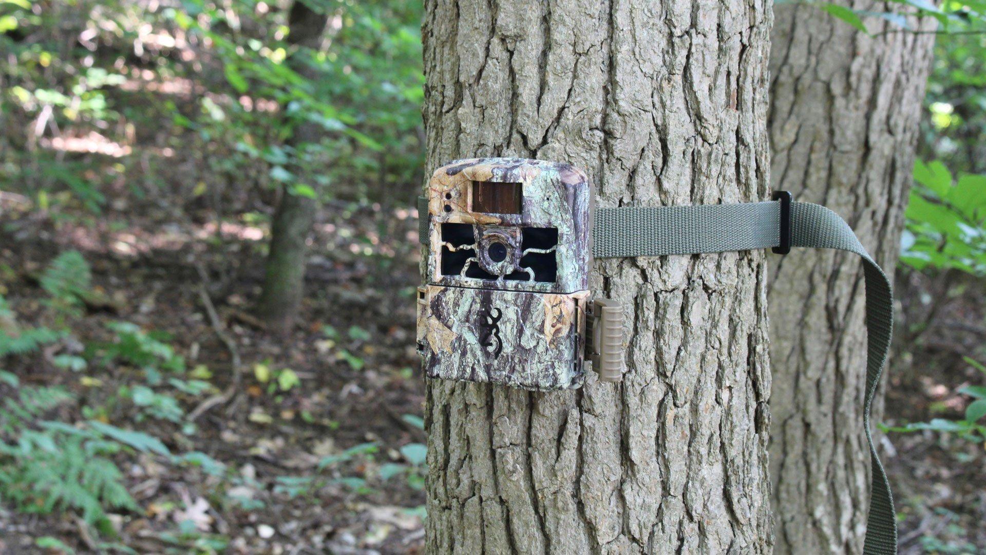 Field Tested: Browning Trail Cameras