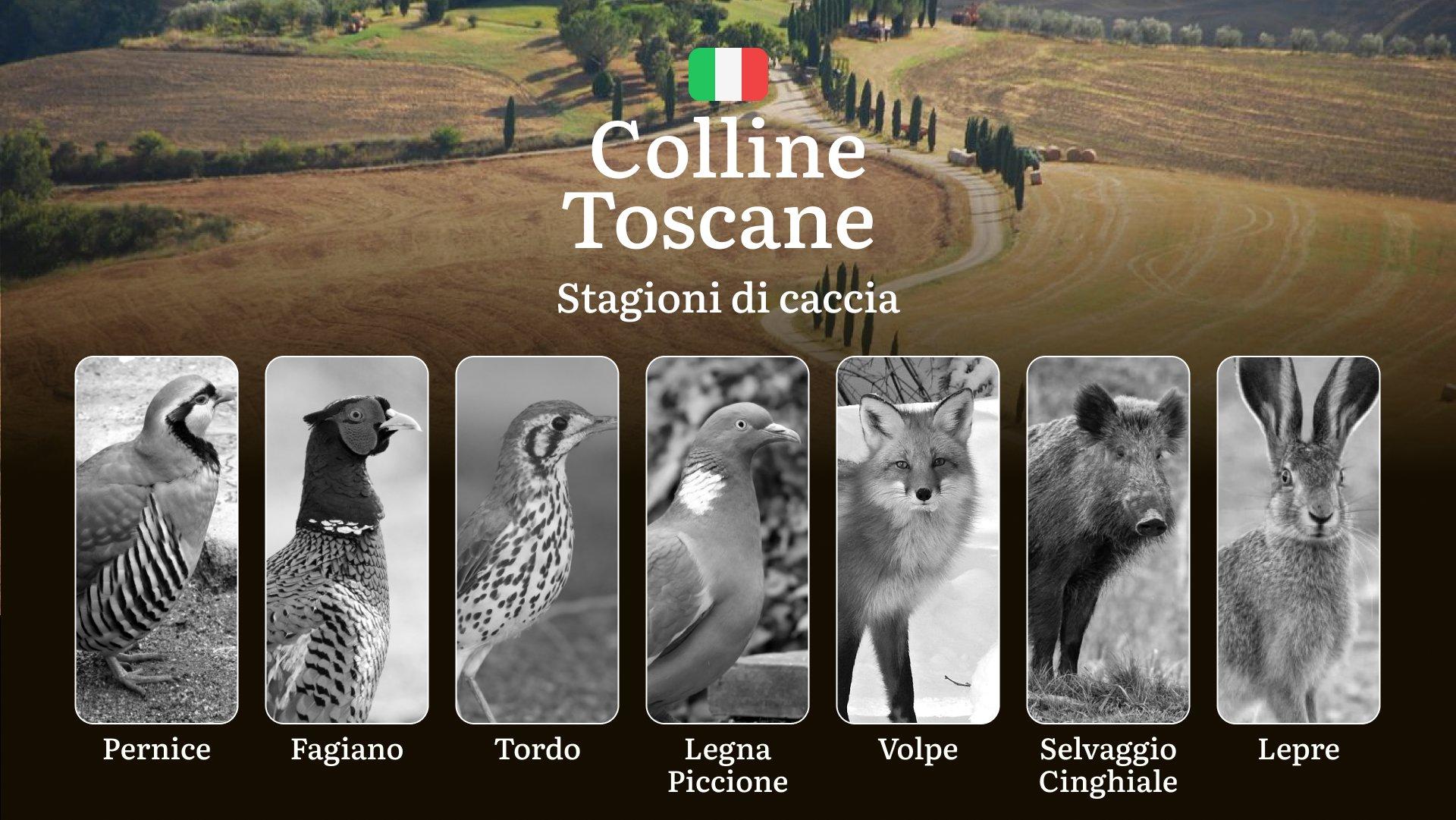 Tra i Vigneti e i Boschi delle Colline Toscane: Calendario di Caccia con Aperture e Zone Migliori