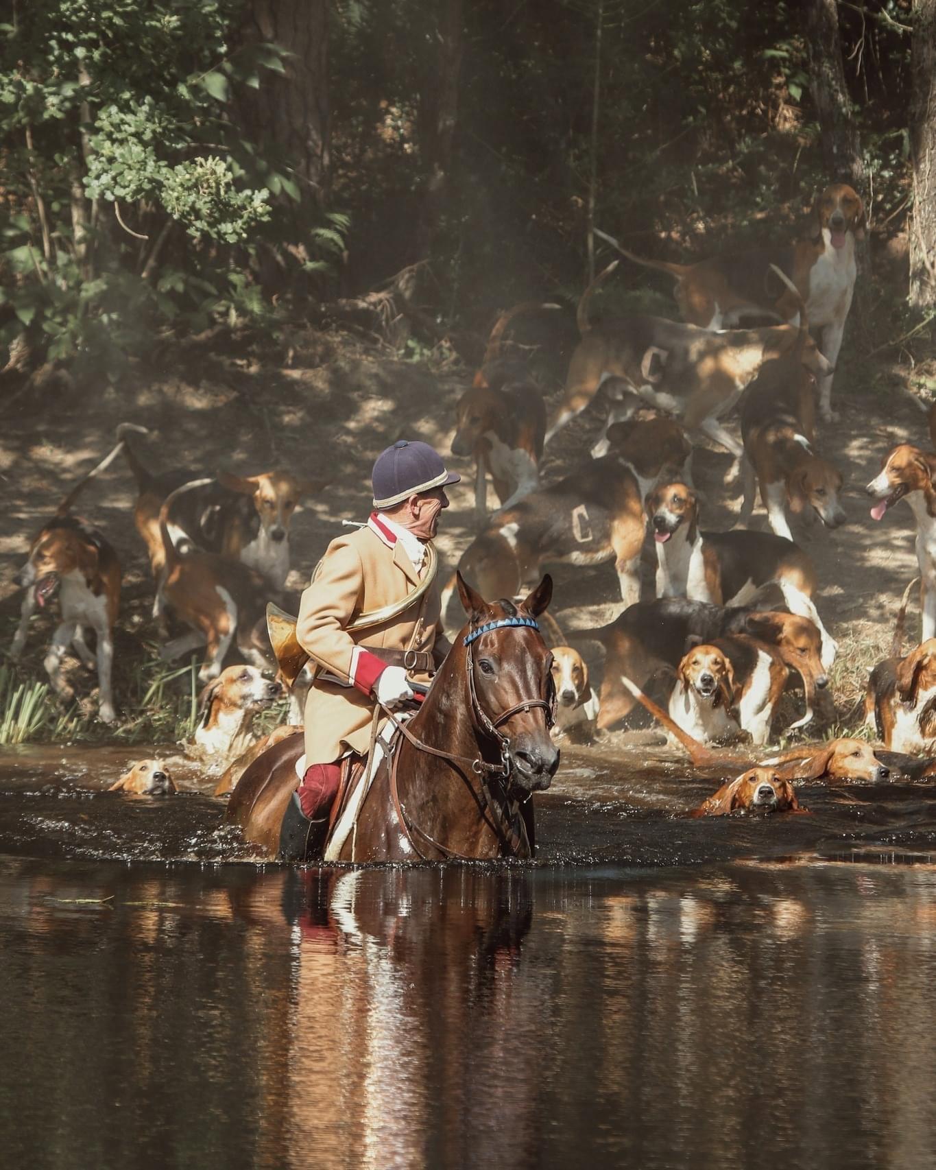 🔙  Pour vous vous aider à patienter avant le début de saison, retour en images sur la fête de la chasse de Saint Benoît la Forêt de ce week-end 📯👏🏼