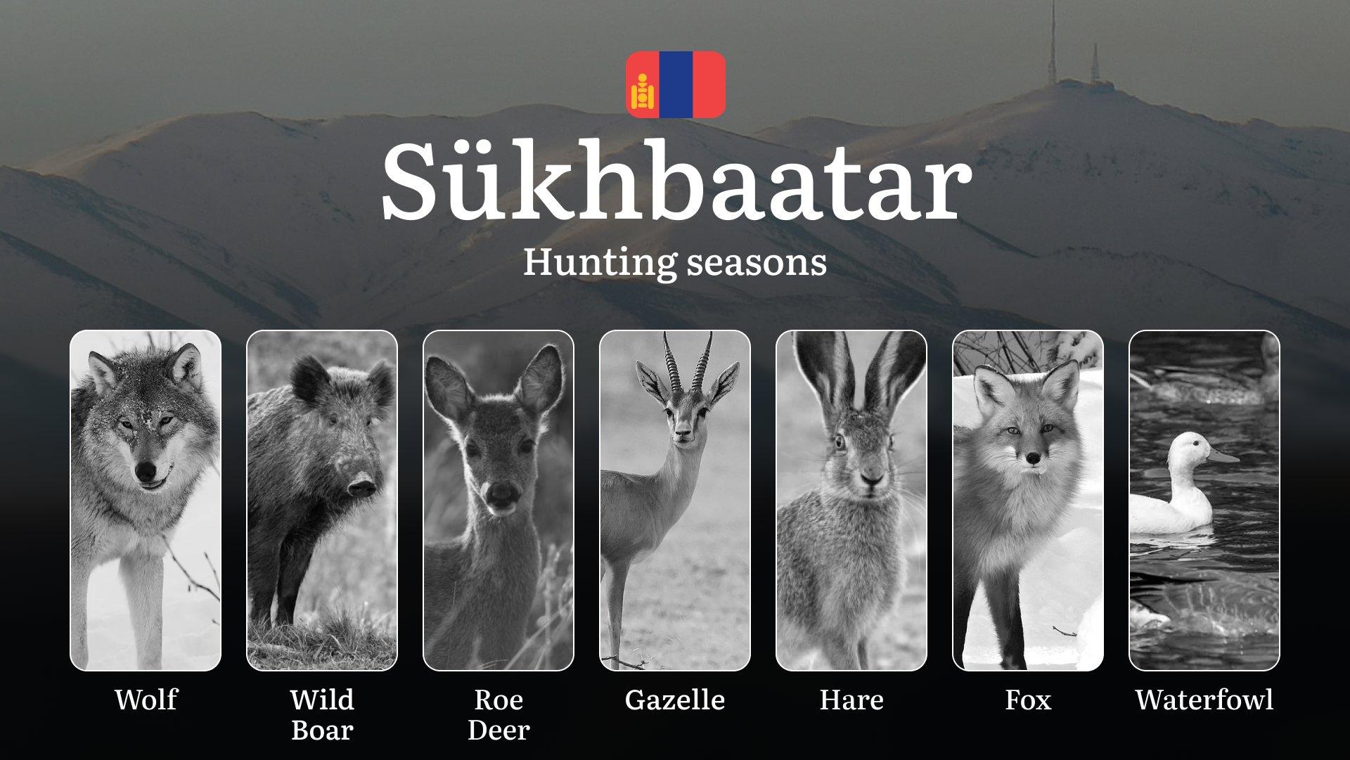 Hunting Seasons in Sükhbaatar Province: Restrictions, Bans, and Protected Species, Choosing Timing, Gear, and Tactics