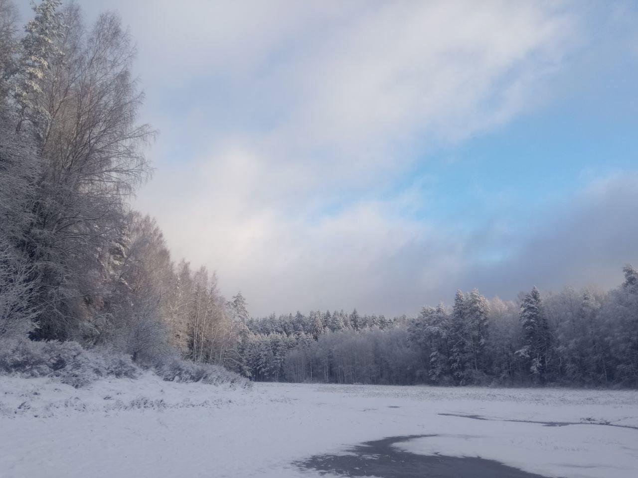 Snowy fairy tale from Igor Krol's hunting grounds in Novgorod Oblast