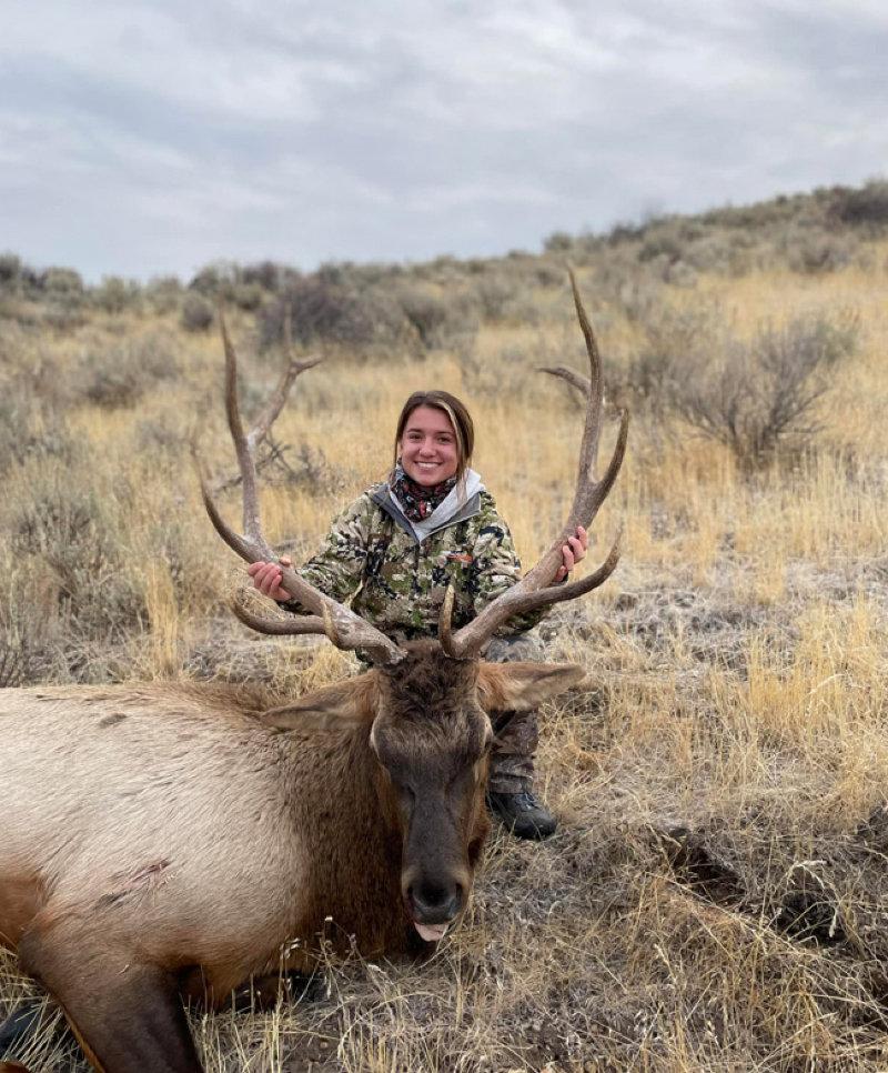 Stolen elk antlers and skull returned to owner