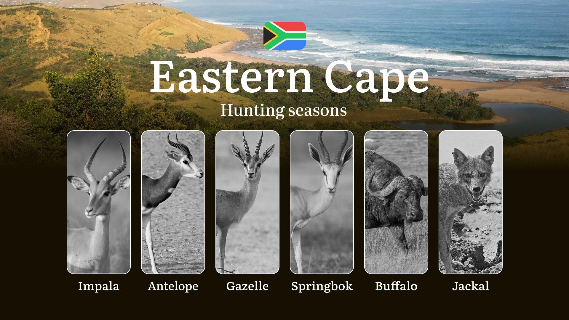 Seasons of Hunting for Kudu in South Africa’s Eastern Cape: Regulations, Licenses, and Seasonal Tips, Natural features and Practical Advice for Hunters
