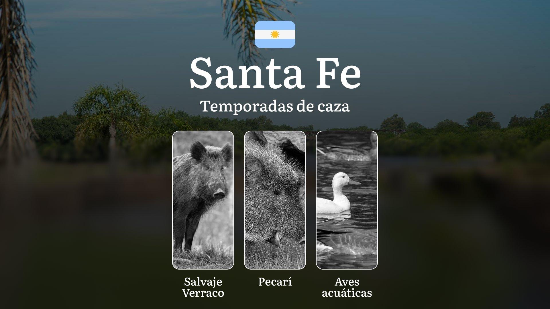 Santa Fe, Argentina:temporadas de caza en la región, épocas, permisos, normas y mejores épocas para la caza