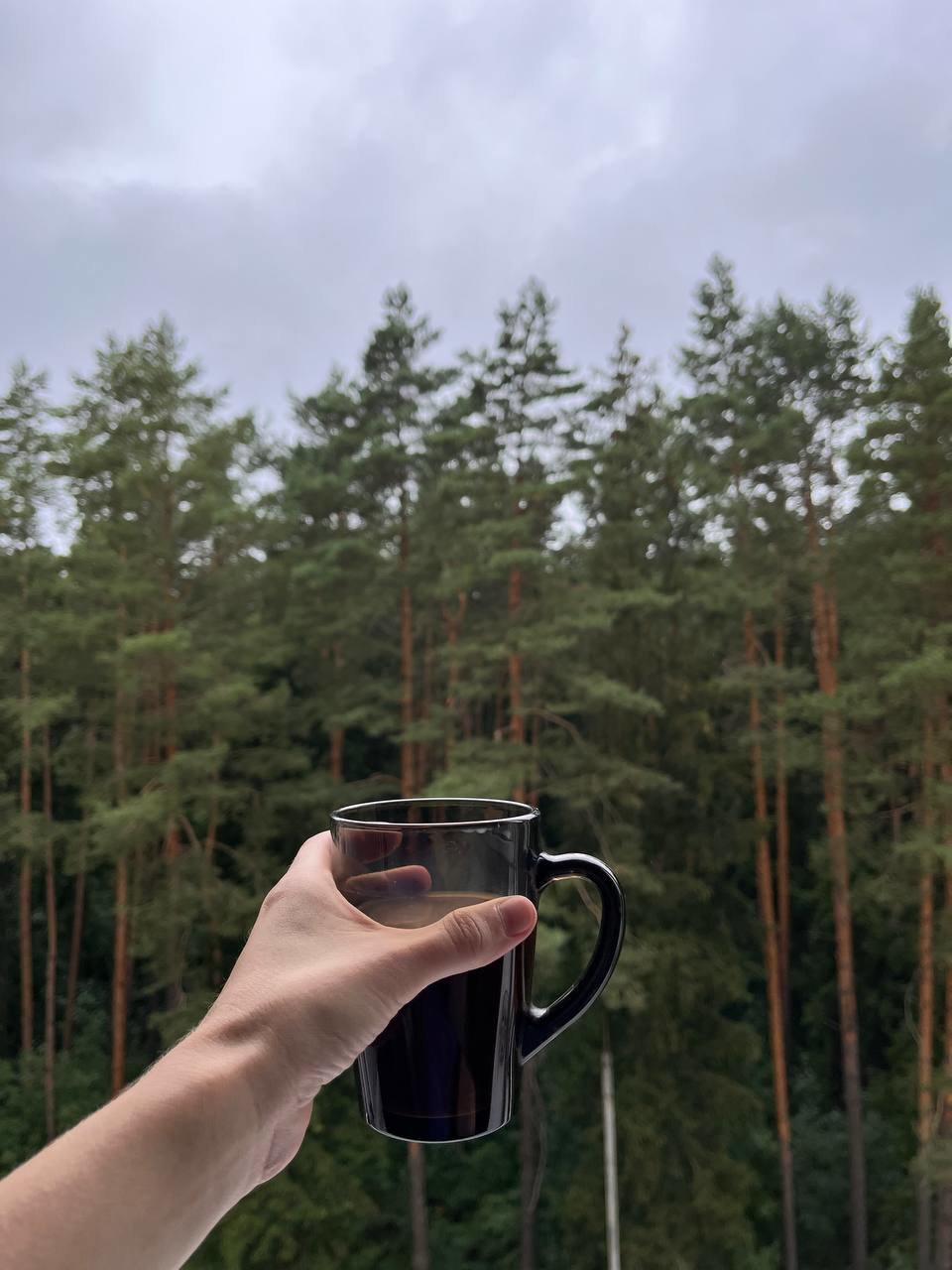“I feel a great regard for trees; they represent age and beauty and the miracles of life and growth.”