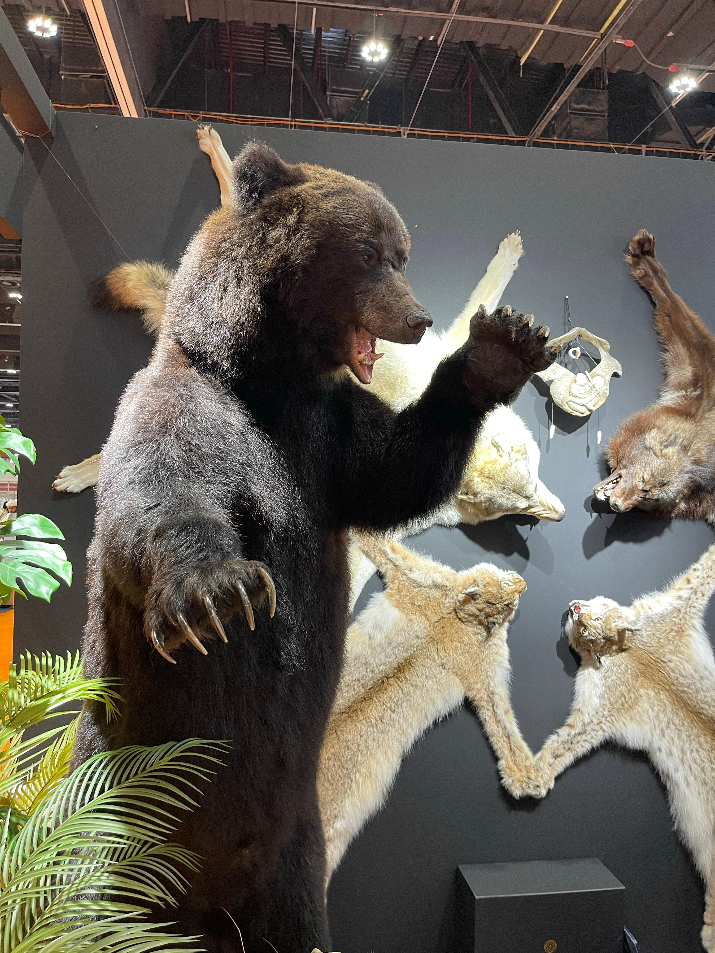 ADIHEX 2025 Hunting & Safari Tours Guide – Destinations, Exhibitors & Experiences