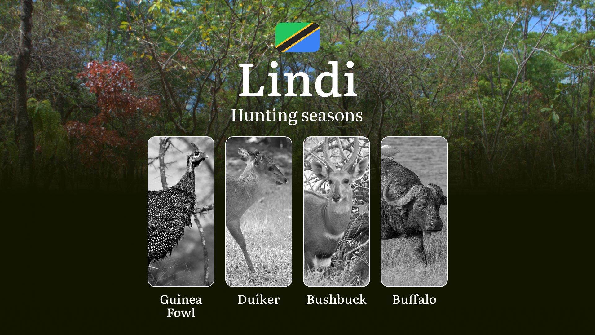 Official Hunting Timeline in Lindi: Legal Limits and Seasonal Bans, Licensing Rules, Fines and Consequences for Breaches, Strategic Planning, Best Timing, Equipment Choices