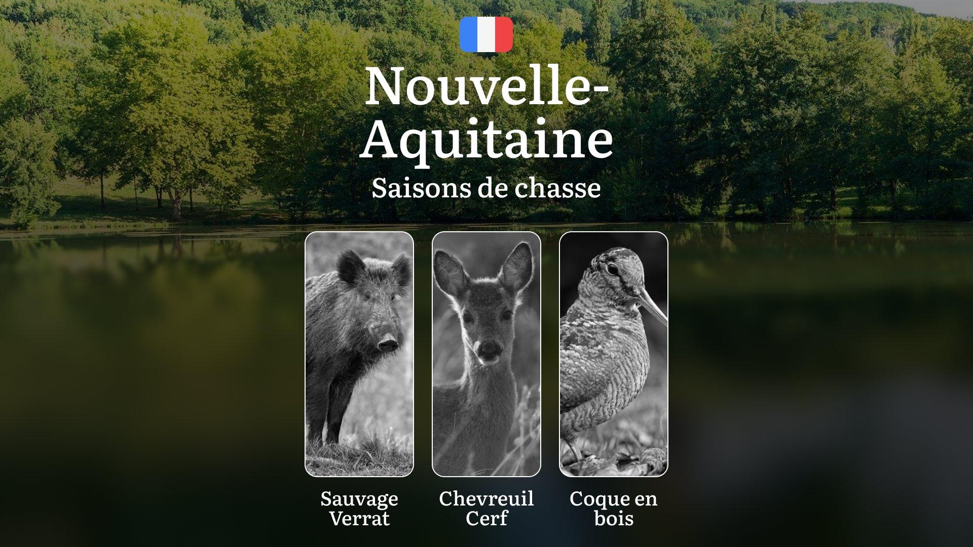 Saisons de Chasse en NOUVELLE-AQUITAINE: Calendrier Officiel, Réglementations à Jour, Spécificités Saisonnières et Stratégies Optimales