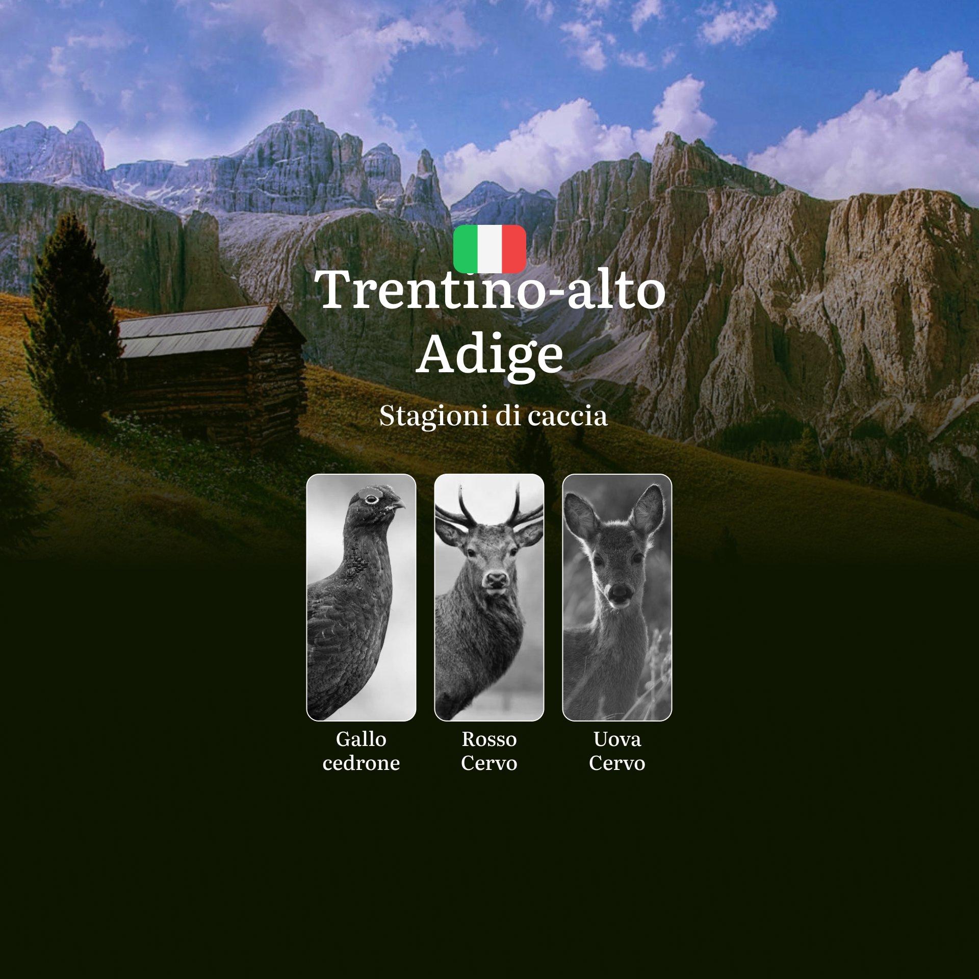 Caccia in Trentino-Alto Adige: Tra Montagne Maestose, il Calendario Venatorio, Normative Rigide e Tradizione Venatoria Millenaria