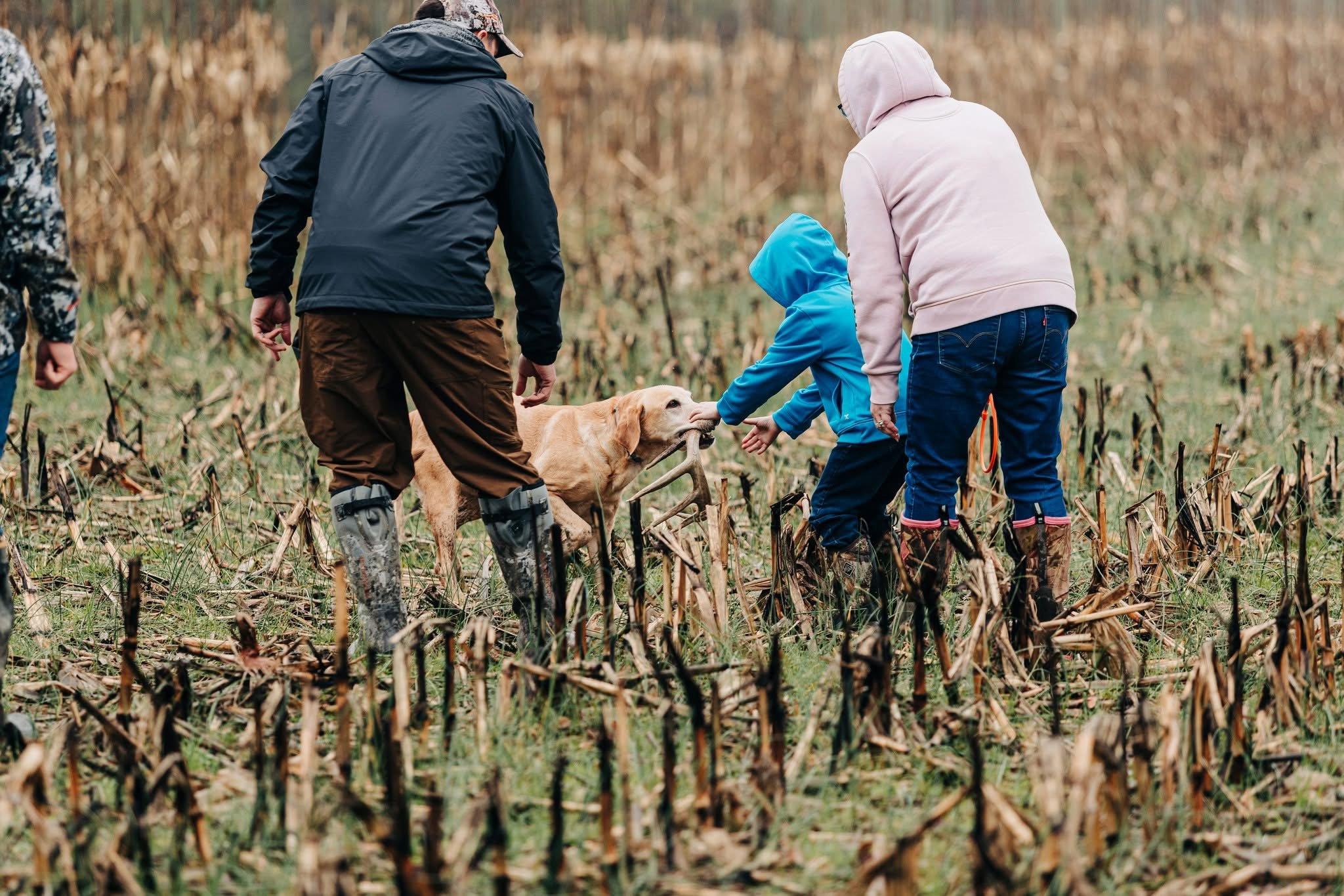 Hunting Retriever Event: Luther Marsh, Ontario