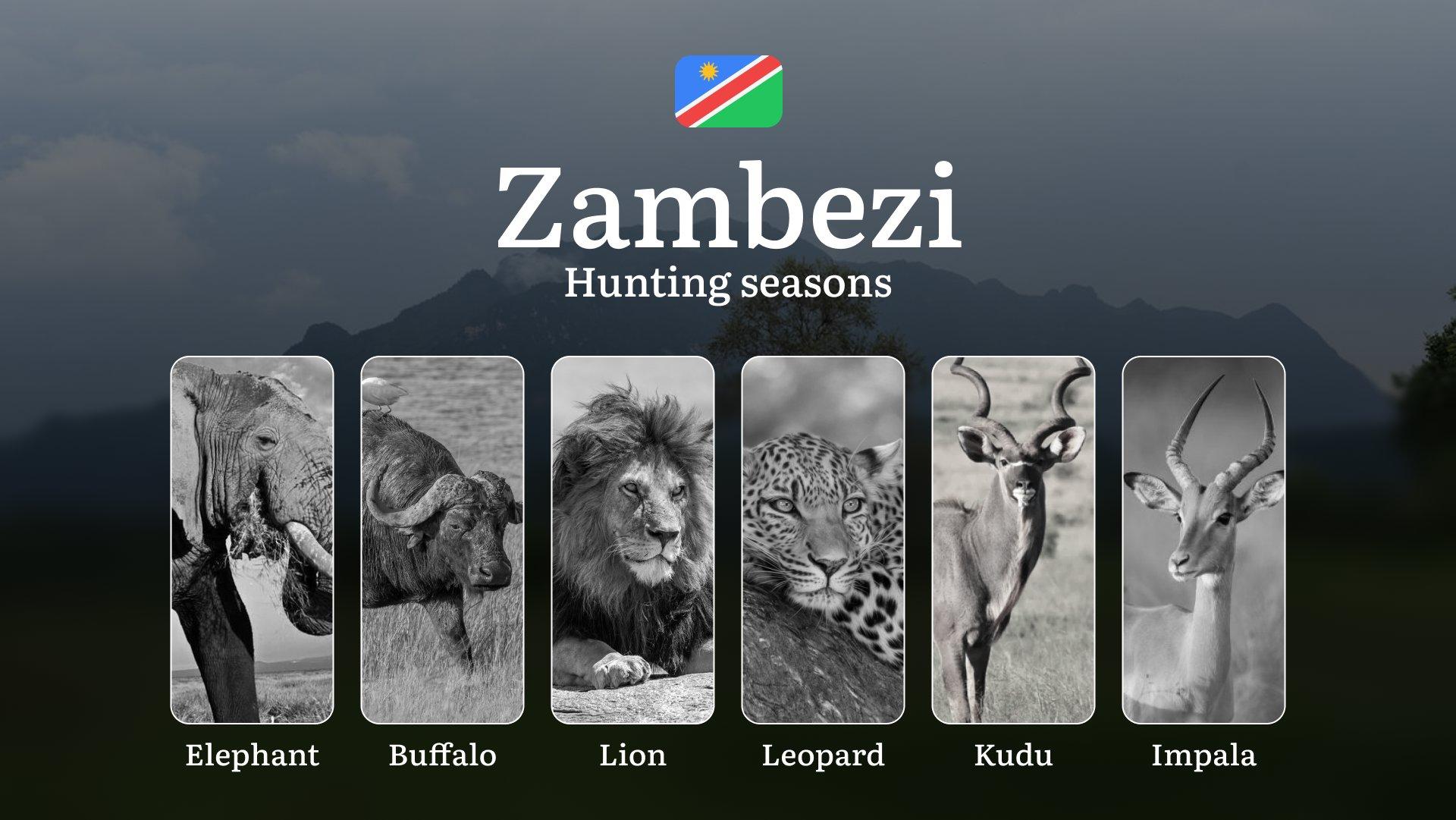 Zambezi, Namibia: Hunting Dates, Species Availability, Seasonal Restrictions, License, Possible Fines, Advice from Hunters, Time Planning, Equipment Essentials