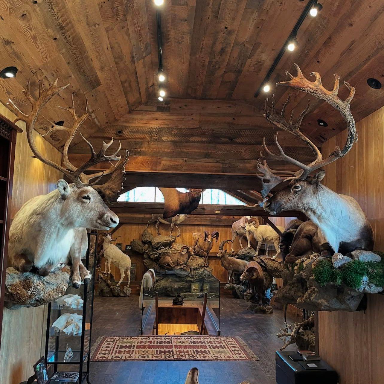 Exotic Hunts Worldwide | Rare Game • Adventure • Culture banner