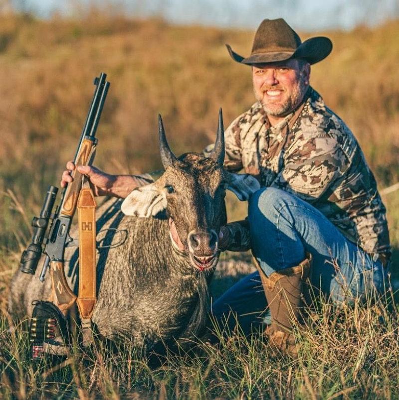 The nilgai antelope “Blue Bull”