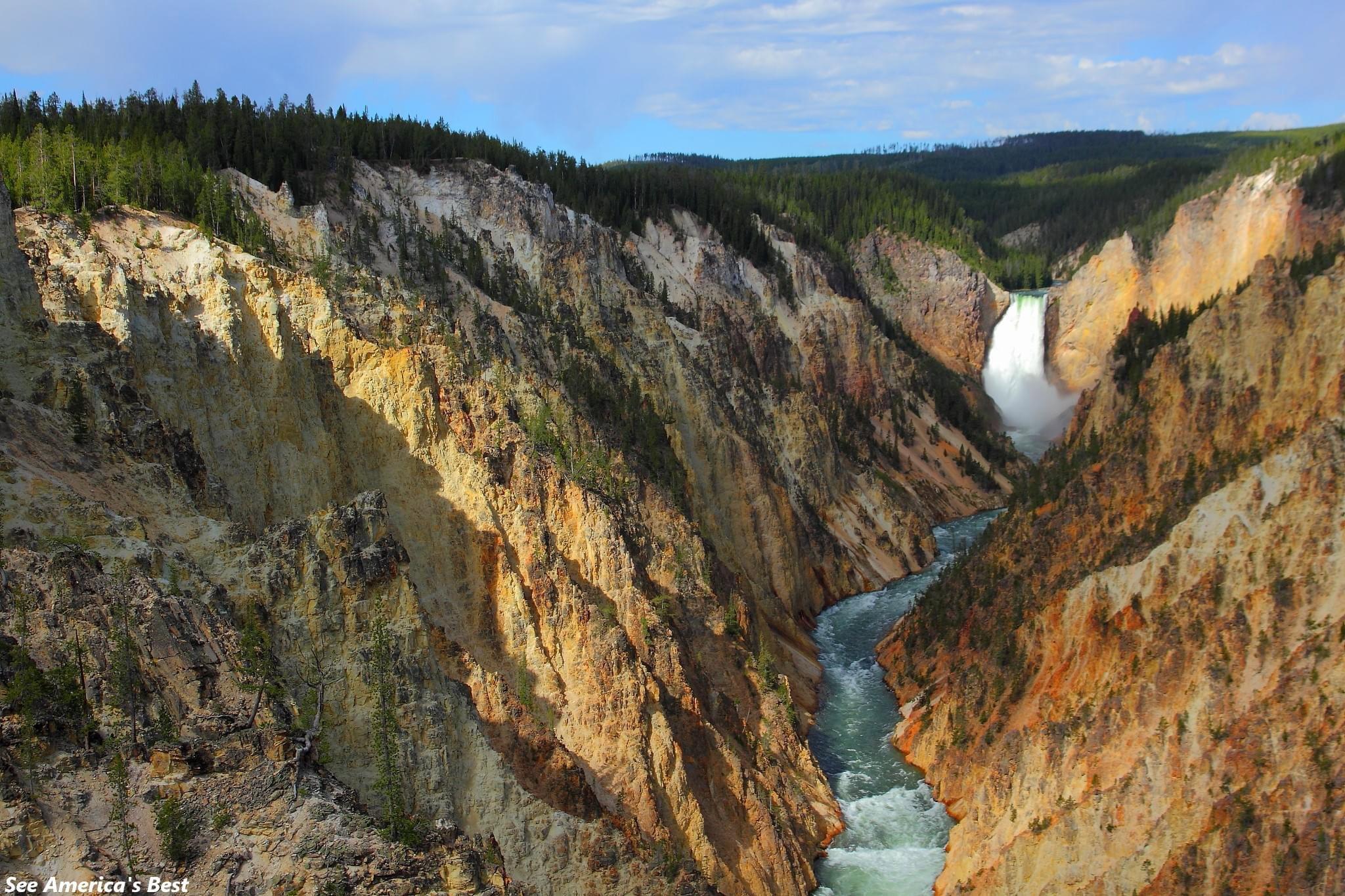 There are so many to see in Yellowstone National Park!