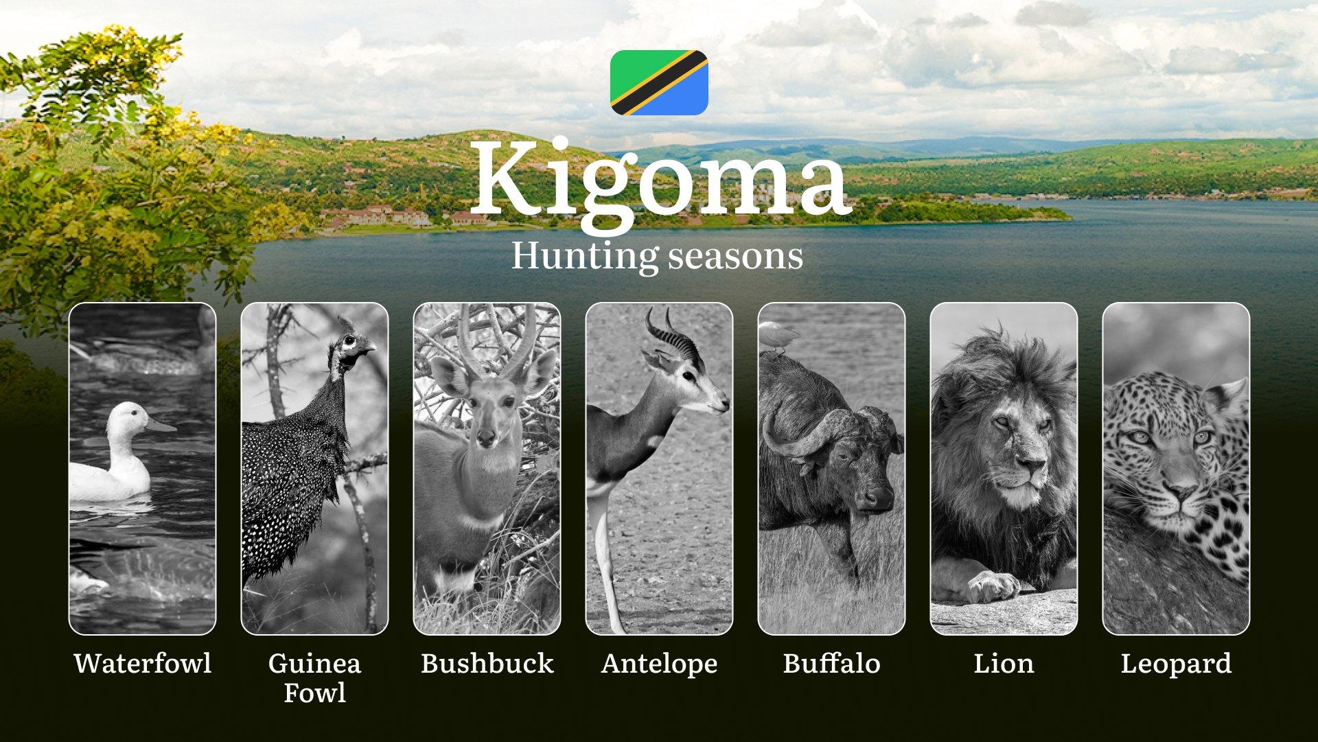 Designated Hunting Months in Kigoma: Regional Guidelines, Hunting License Application Process, Penalties for Off-Season Hunting, Recommendations on Timing, Gear, and Tactics