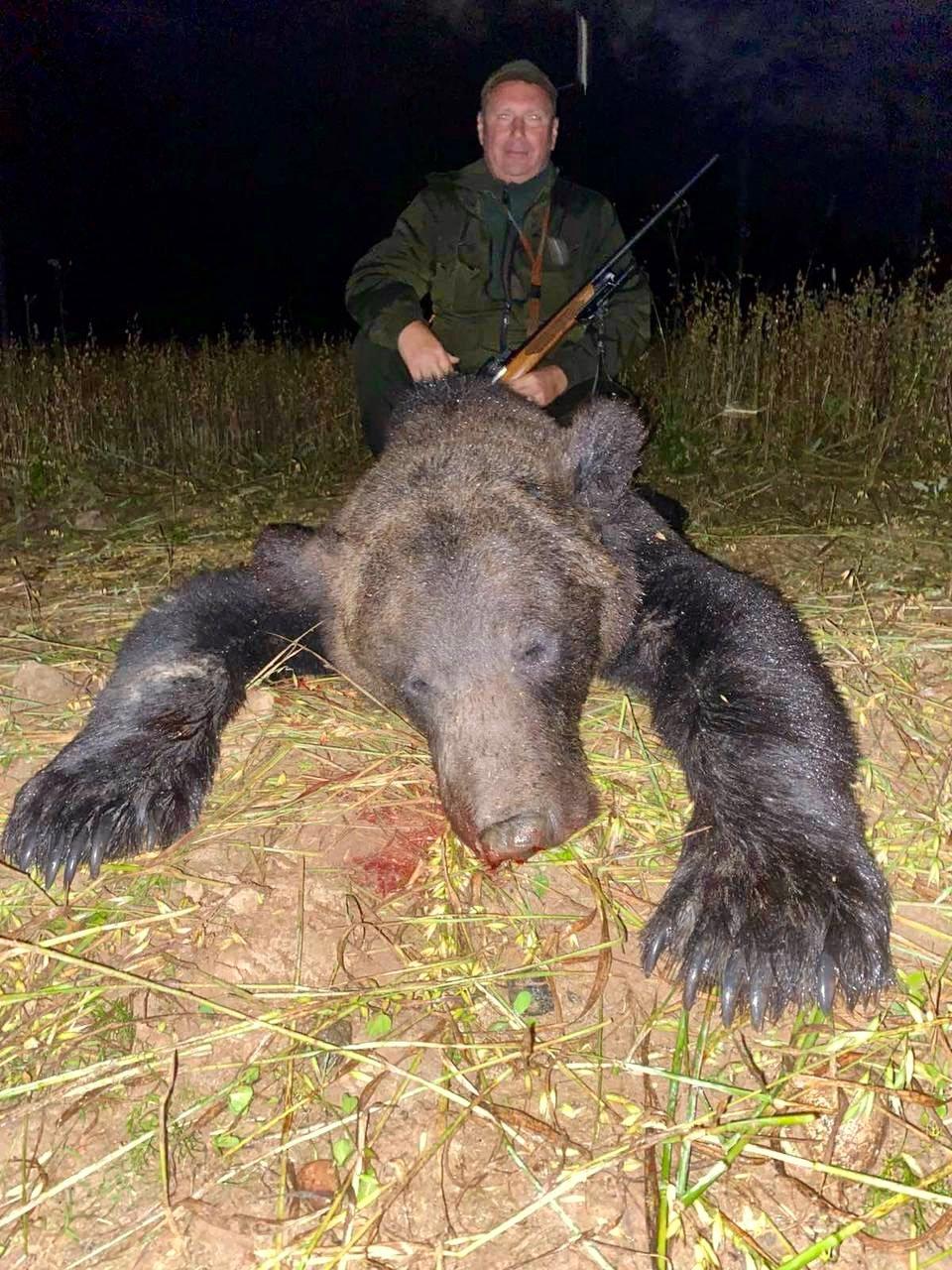 Bear Hunting in Belarus 2025: Legalization, Permits, Auctions, and Trophy Opportunities