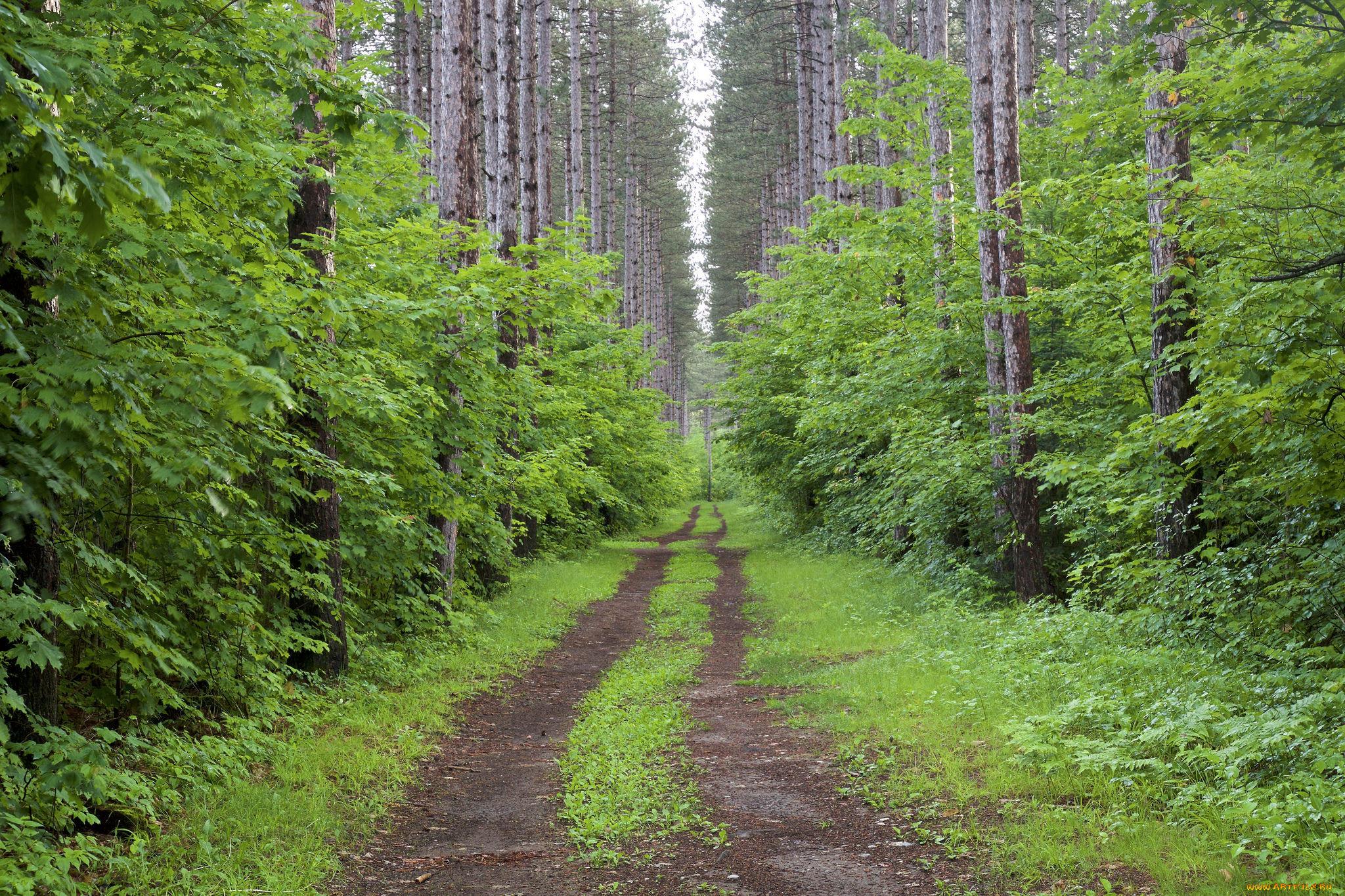 They say an open road helps you think.