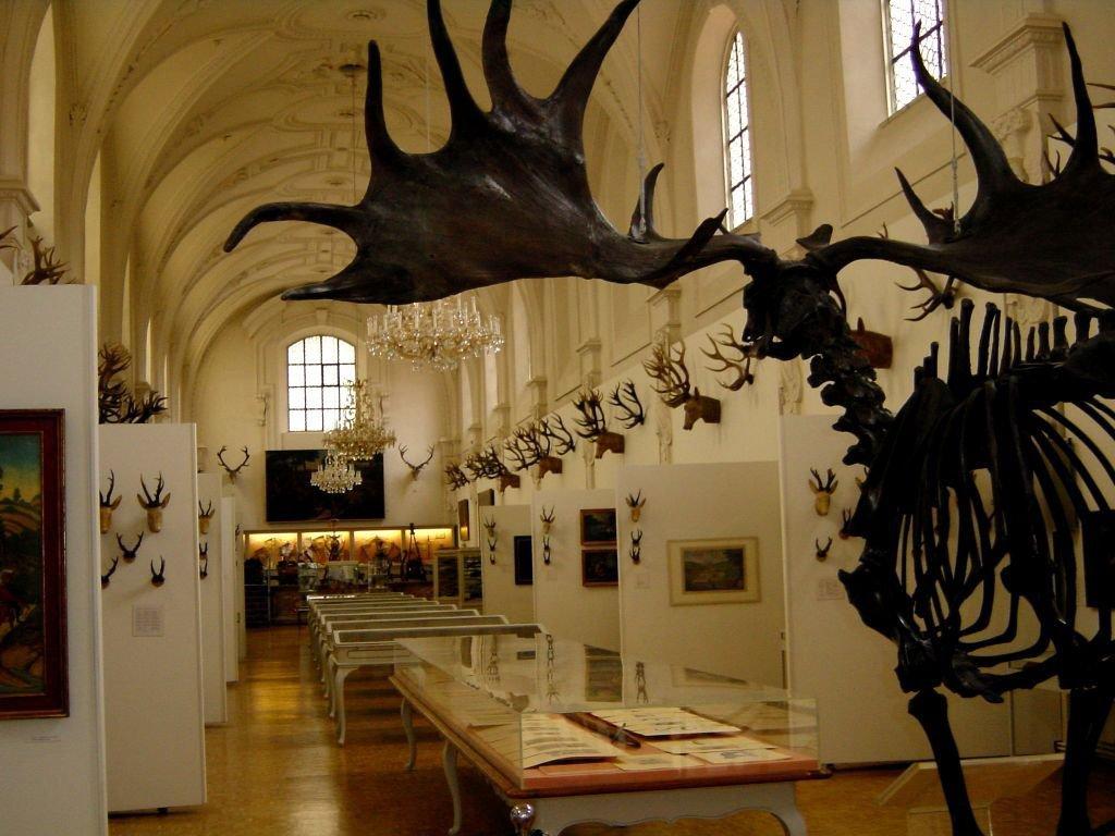 Немецкий музей охоты и рыболовства (немецкий: Deutsches Jagd- und Fischereimuseum) - музей, в котором выставлены предметы, связанные с историей охоты и рыболовства в Германии или на других территориях, которые в настоящее время принадлежат ей.