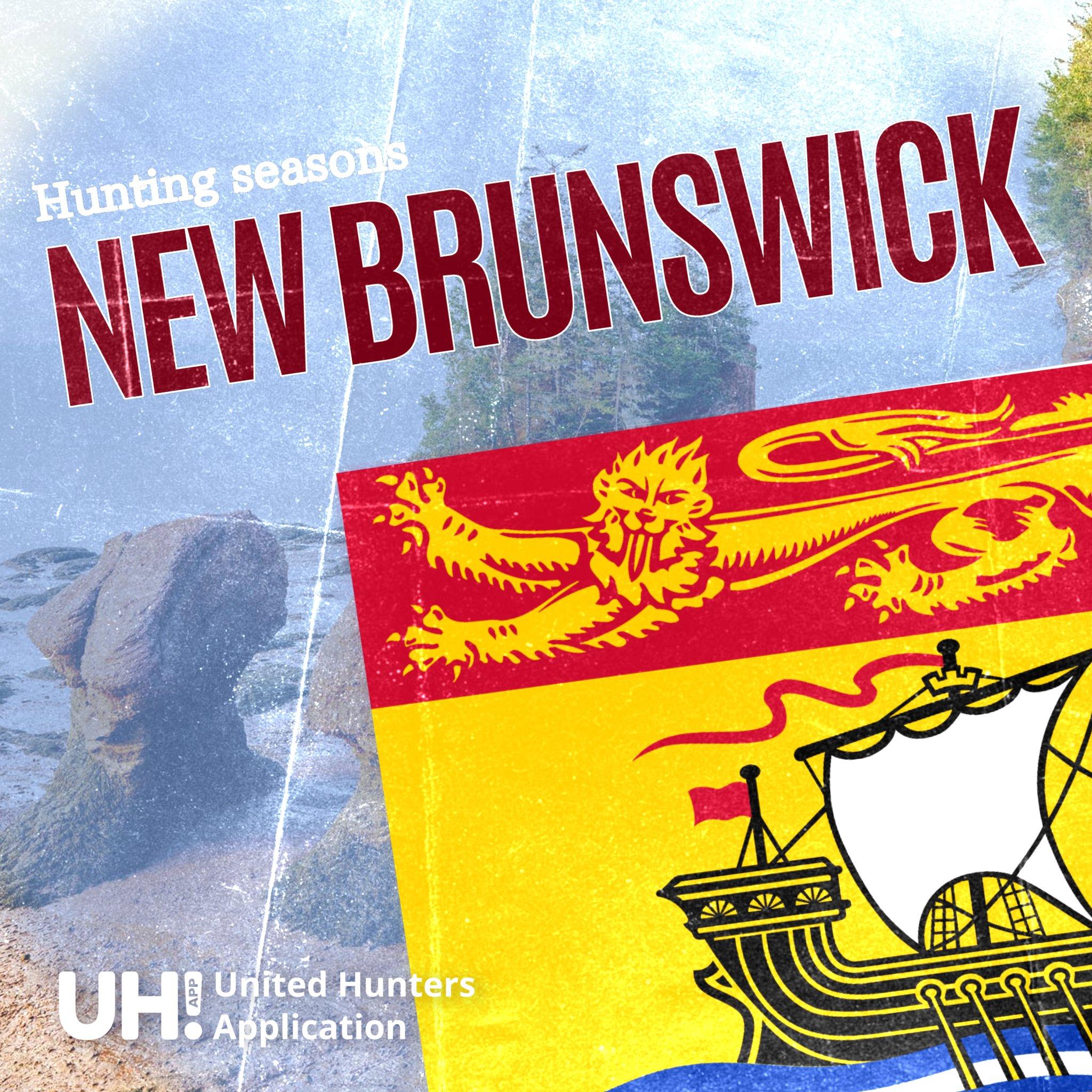HUNTING SEASONS IN NEW BRUNSWICK, CANADA 2025–26: Big Game and Small Game, Licenses, and Regulations Guide